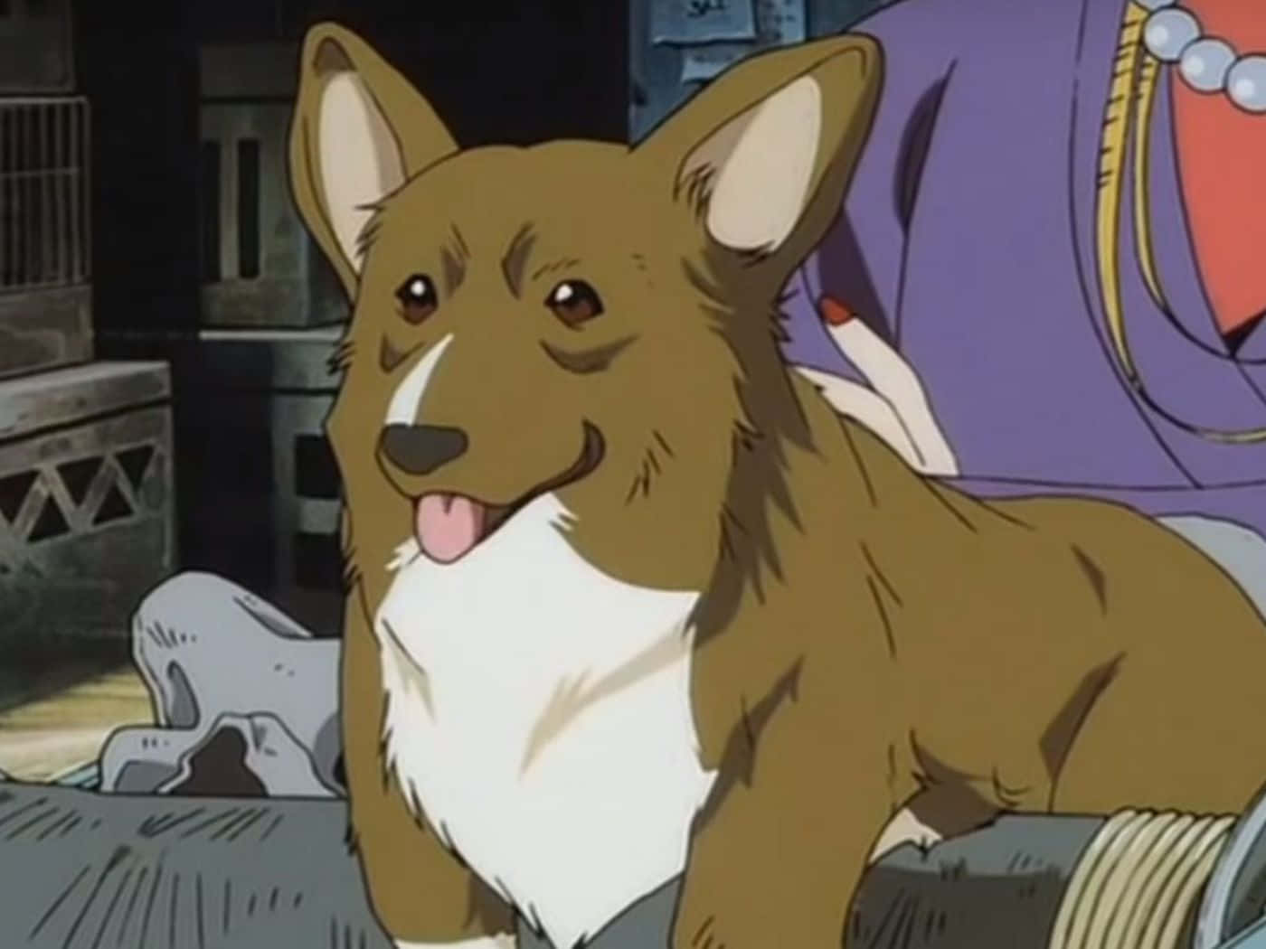 Cowboy Bebop Ein 桌布 壁紙 — 一隻開心的棕白色柯基伸出舌頭，坐在昏暗的動畫場景中。