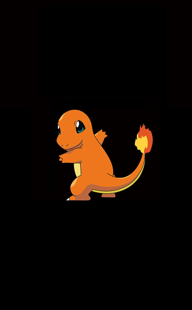 Cute Charmander 桌布 壁紙 — 一隻開心的橙色小火龍，有火焰尾巴，站在純黑色背景前面。