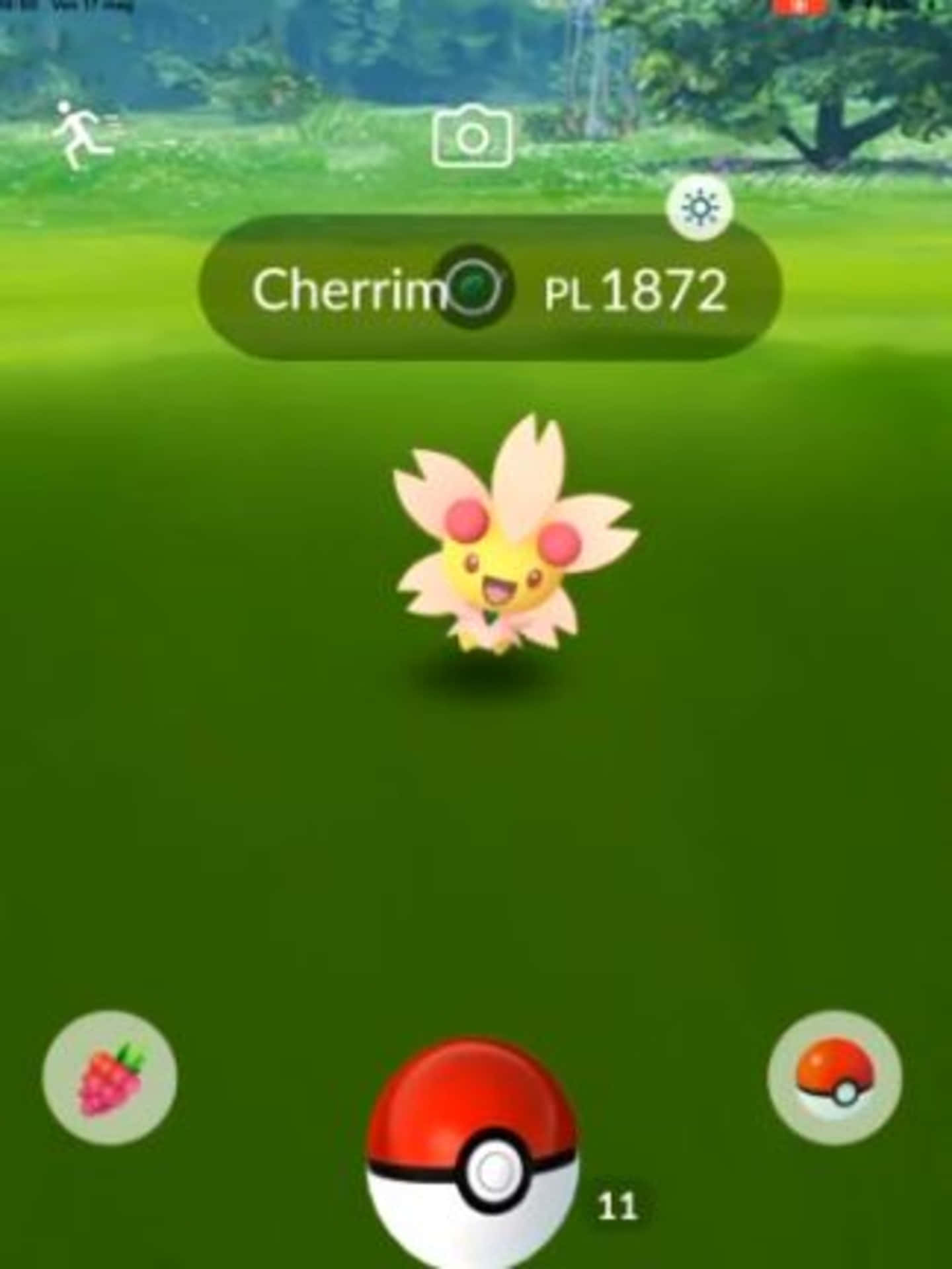 Pokemon Aesthetic 桌布 壁紙 — 一隻開心的櫻花兒，粉紅色的臉頰和花瓣，站在寶可夢遊戲介面中的翠綠草地上。