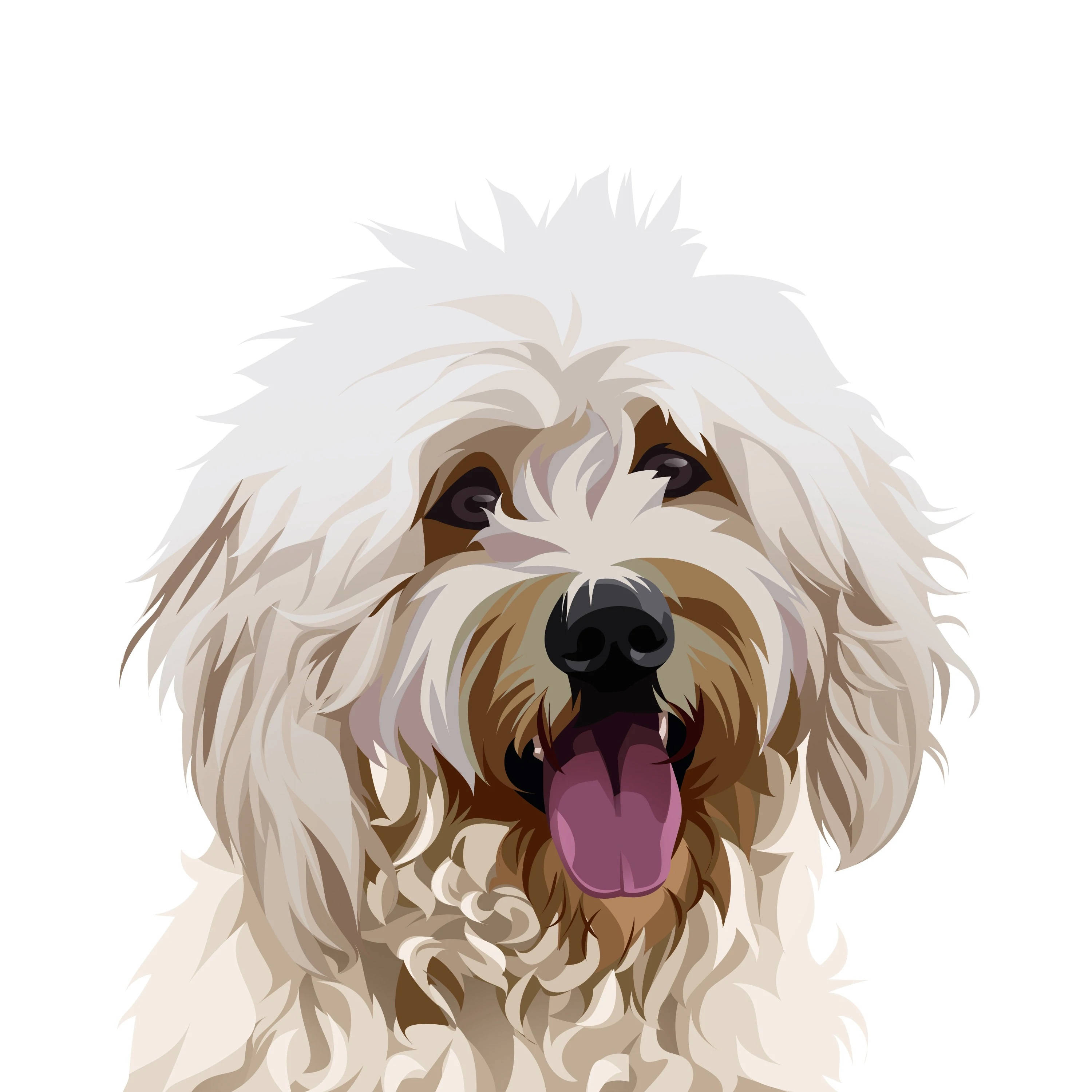 Dog Art 桌布 壁紙 — 一隻開心的毛茸茸小狗，有白色和棕色的毛和粉紅色的舌頭，在純白色背景上伸出舌頭。