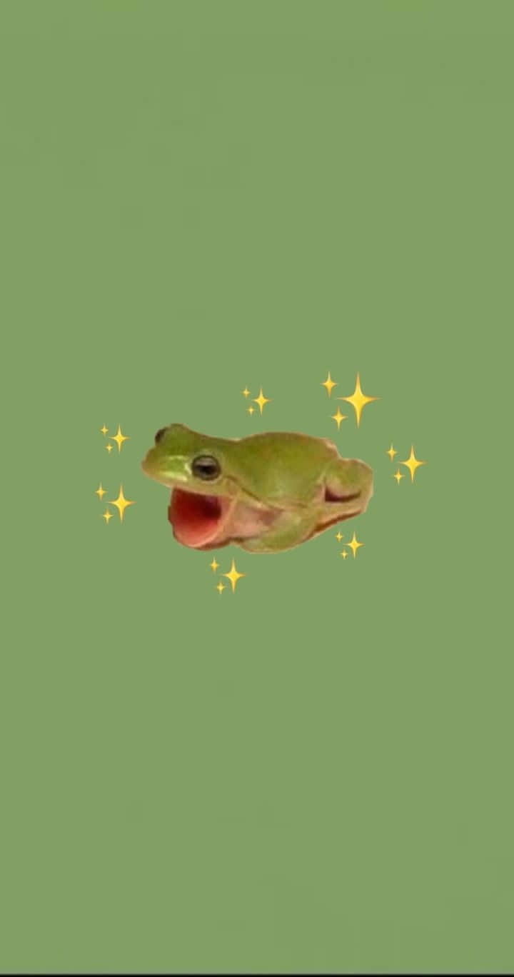 Frog 桌布 壁紙 — 一隻開心的綠色青蛙張開嘴，被金色閃光包圍在純橄欖色背景上。