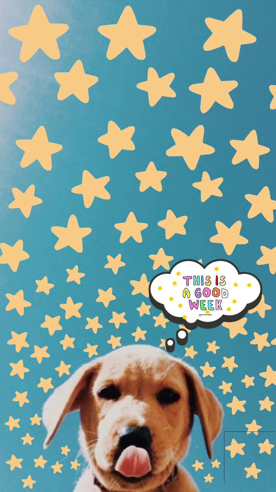 Aesthetic Dog 桌布 壁紙 — 一隻開心的金色小狗在充滿黃色星星和寫著「this is a good week」的對話框的藍綠色背景上伸出舌頭。