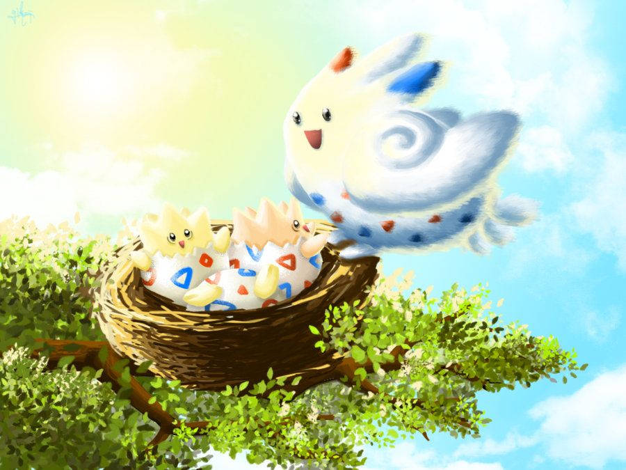 寶可夢 桌布 壁紙 — 一隻開朗的藍白相間鳥狀寶可夢在陽光照耀的樹枝上，盤旋在一個有三隻寶可夢寶寶的巢穴上方。