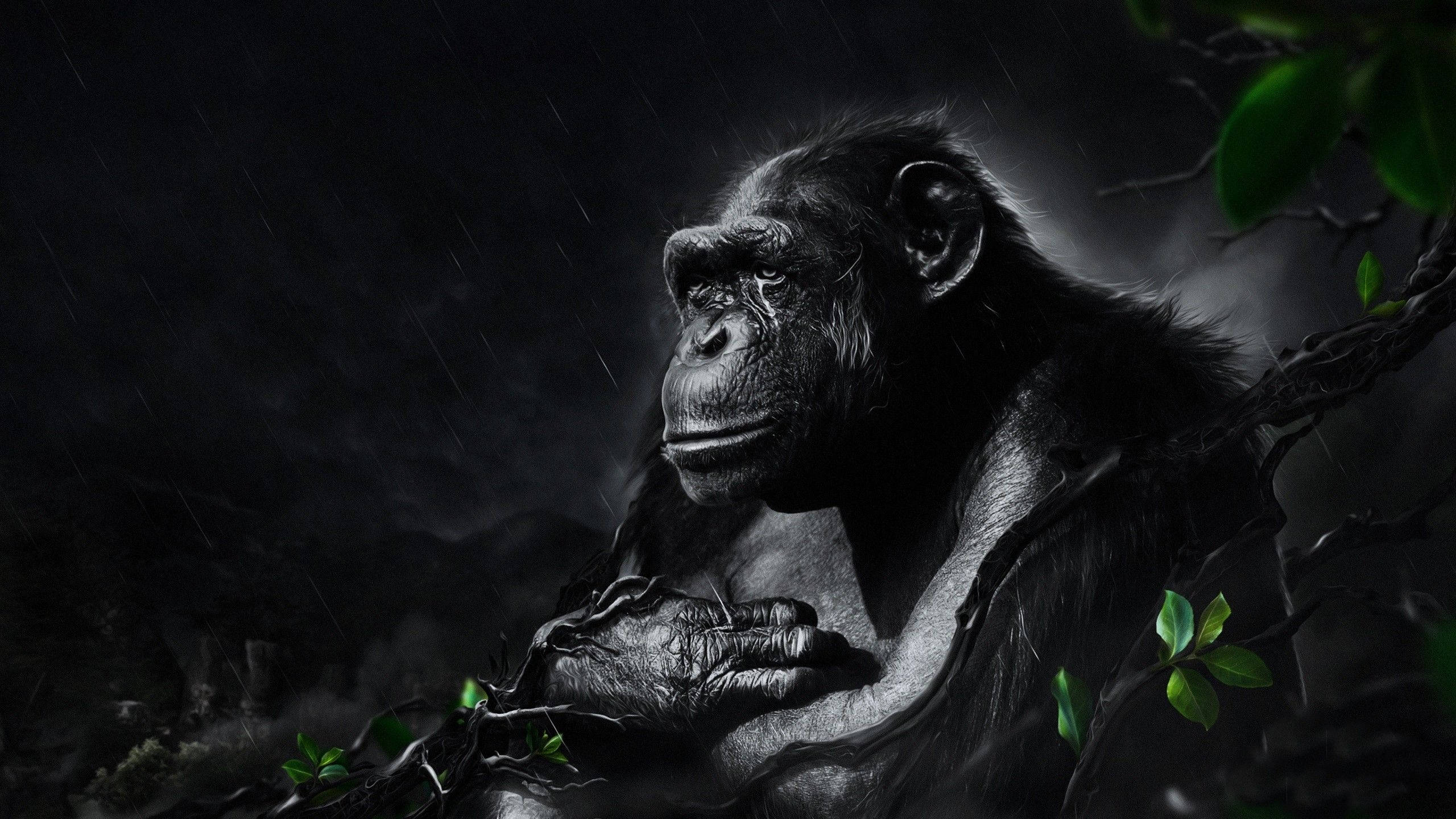 動物 桌布 壁紙 — 一隻陰鬱的黑猩猩坐在被雨淋濕的黑暗中，在暴風雨背景下抓緊帶有發光綠葉的藤蔓。