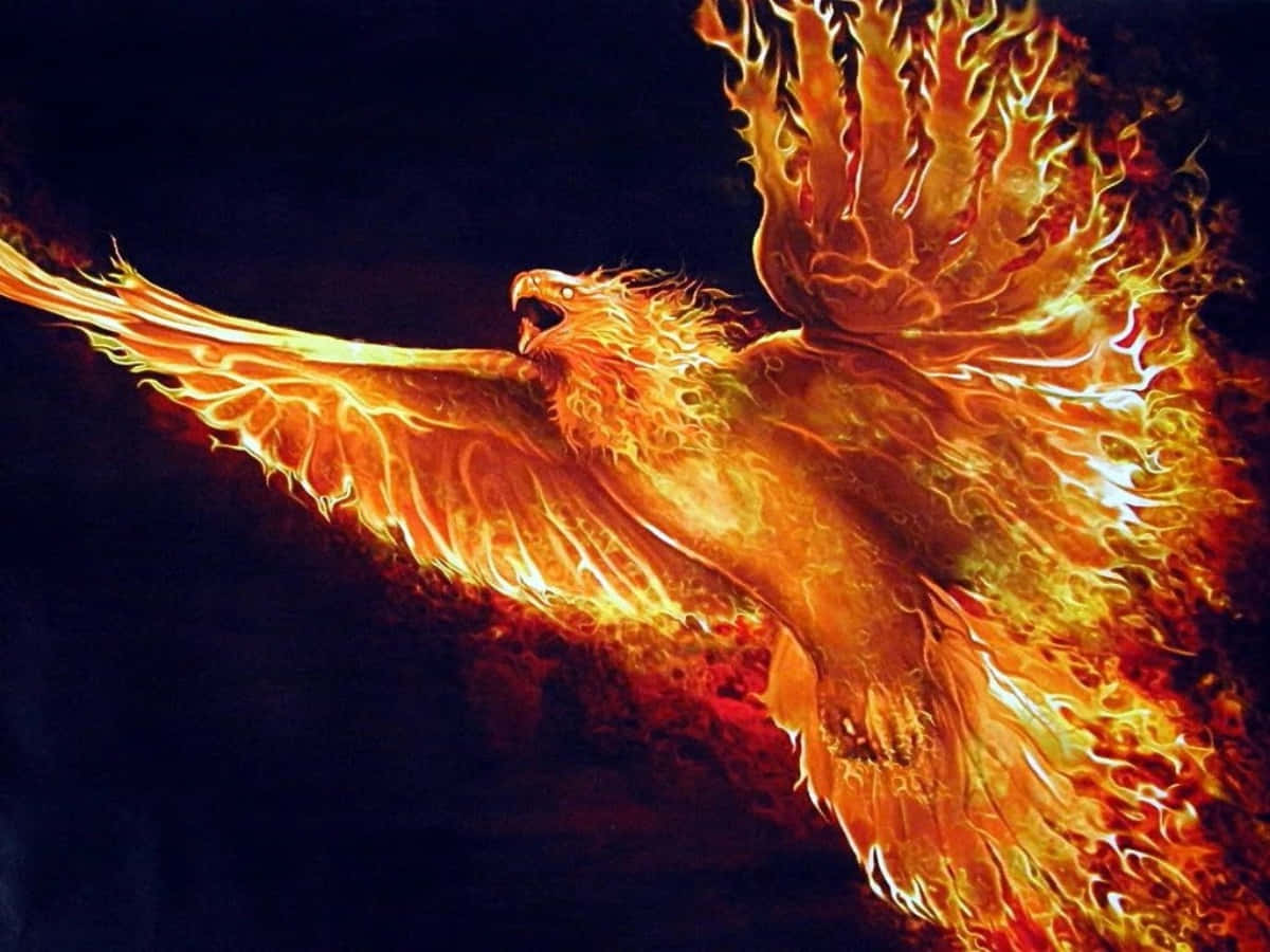 鳳凰 桌布 壁紙 — 一隻雄偉的火焰鳳凰在漆黑的夜空中展翅翱翔，翅膀燃燒，散發出強烈的橙色和金色火焰。
