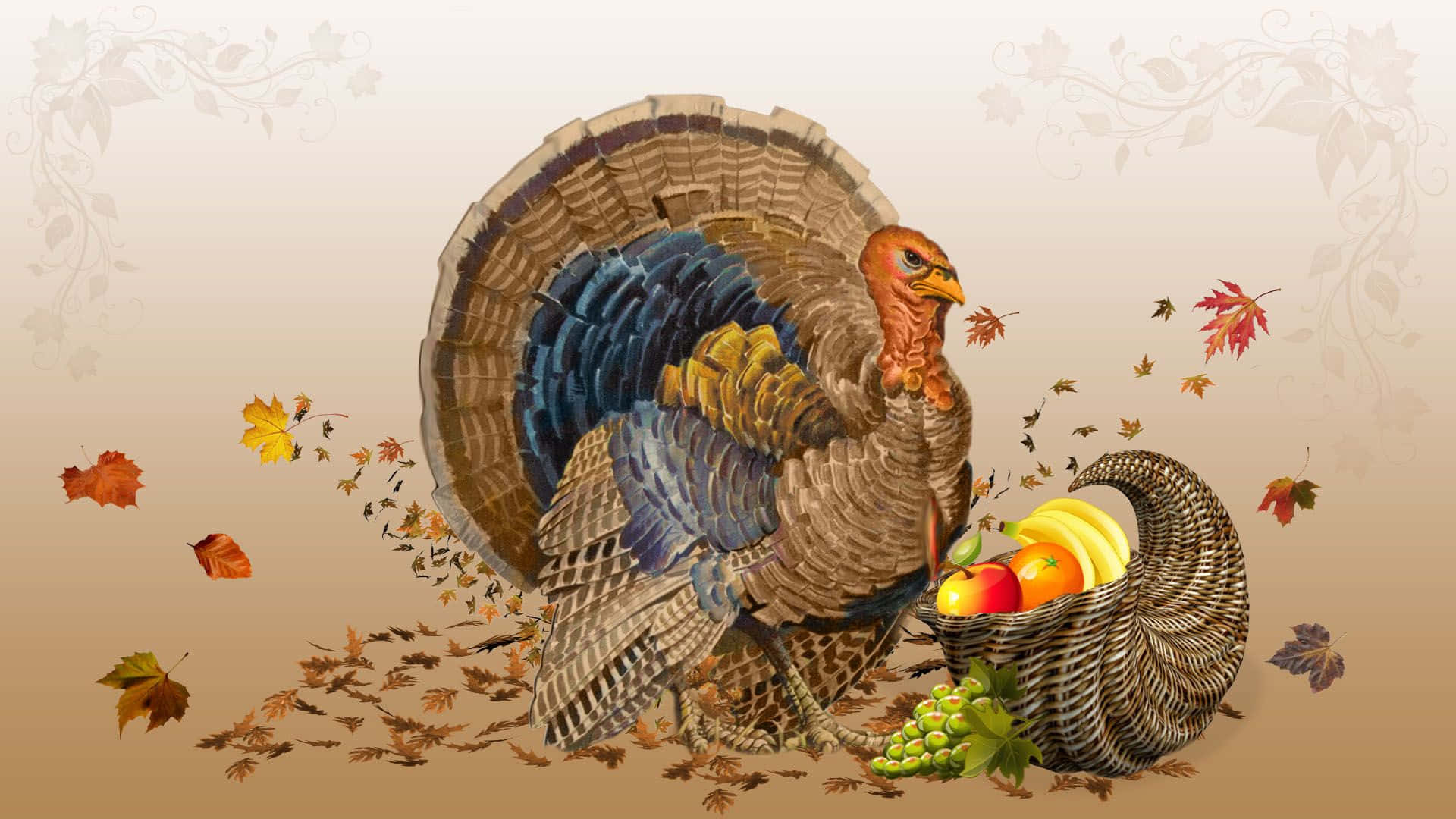 Funny Thanksgiving 桌布 壁紙 — 一隻雄偉的火雞展開尾巴，站在一個裝滿水果和秋葉的豐饒角旁邊。