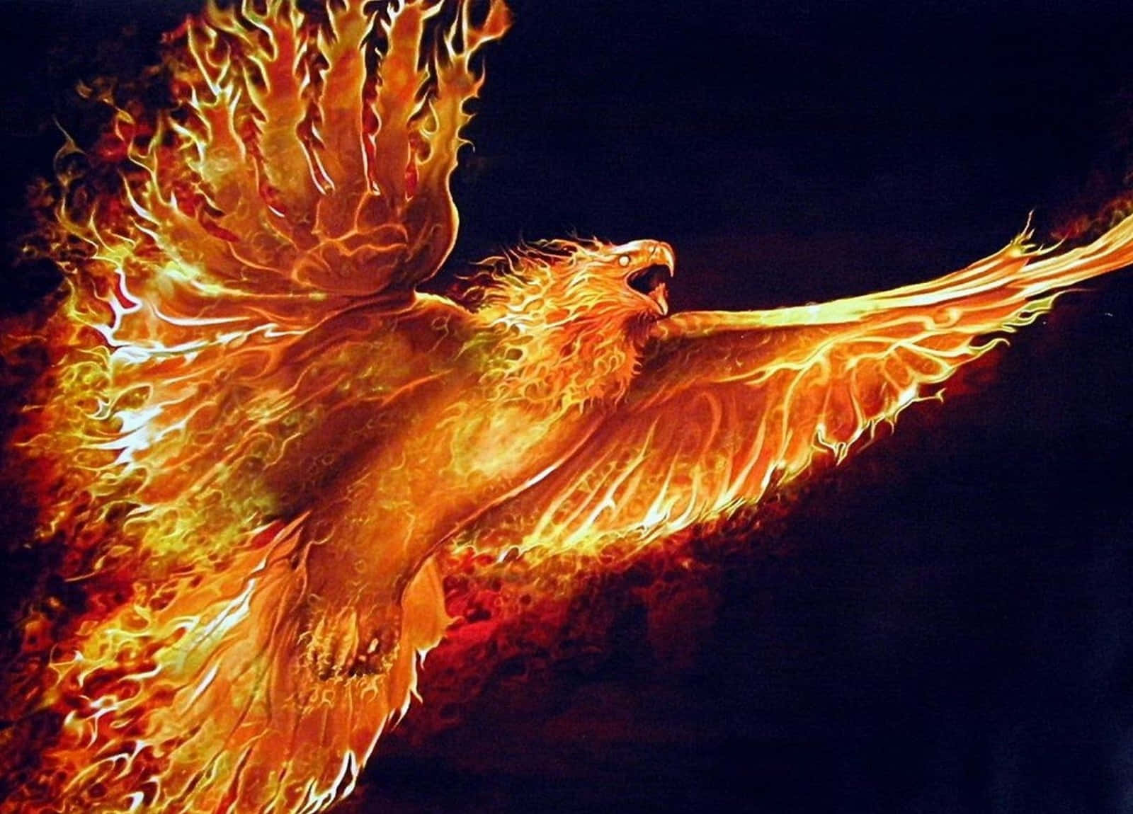 Cool Fire 桌布 壁紙 — 一隻雄偉的火鳳凰展開翅膀，在漆黑的夜空中翱翔，散發著強烈的橙色和紅色火焰。