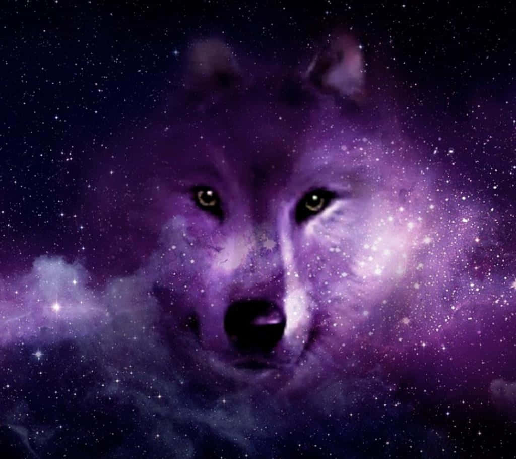 由星星和星雲在紫色星系中形成的狼臉。 — 銀河狼 壁紙
