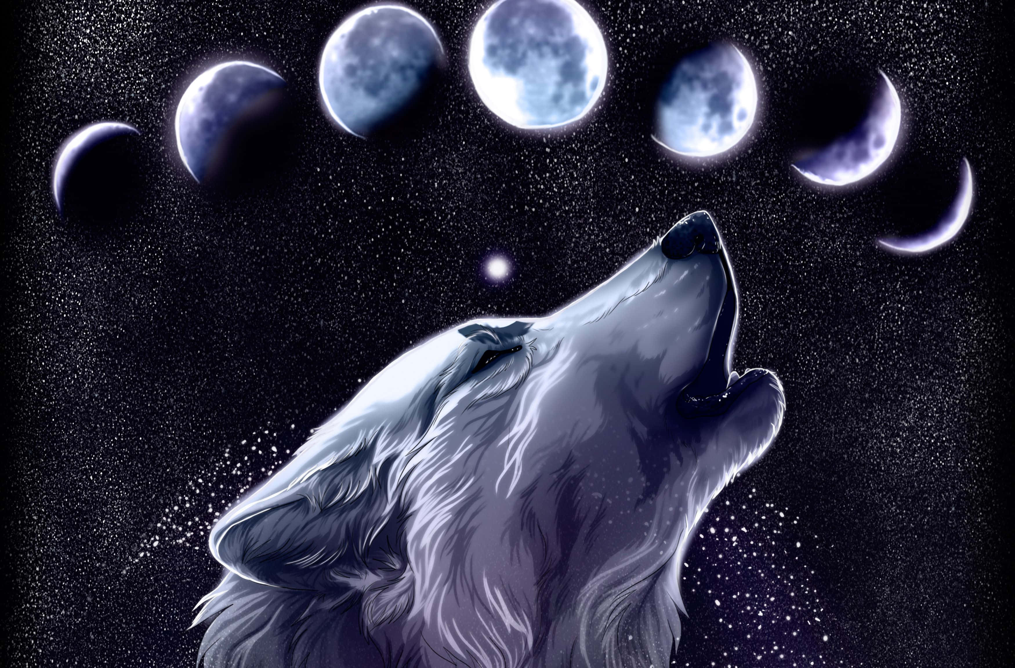 Galaxy Wolves 桌布 壁紙 — 一隻雄偉的白狼在七個月亮相位的天體展示下，向著星空夜空向上嚎叫。