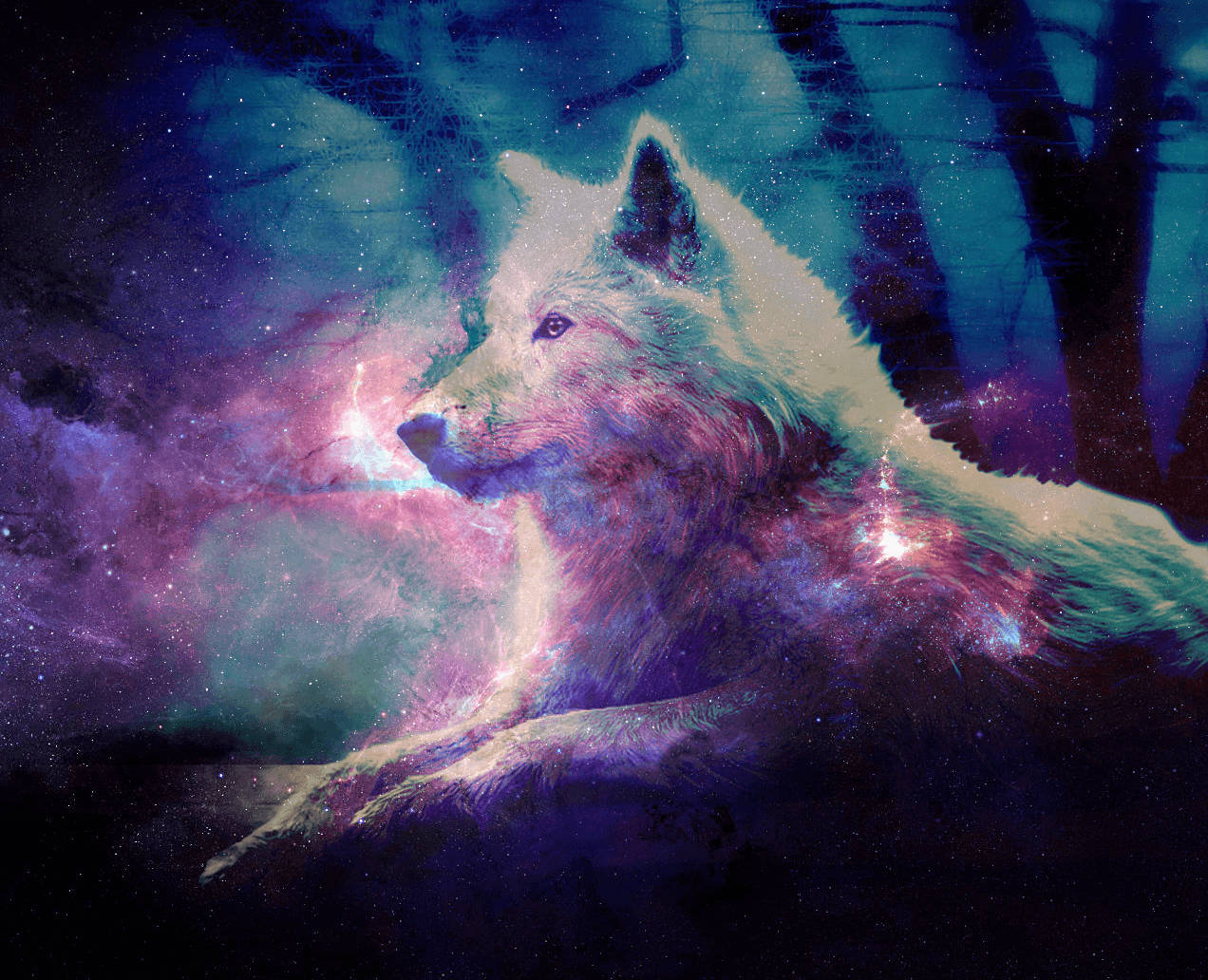 可愛的狼 桌布 壁紙 — 一隻雄偉的白狼在星空下，於一個宇宙森林中休息，發光的星雲在其毛髮中旋轉。