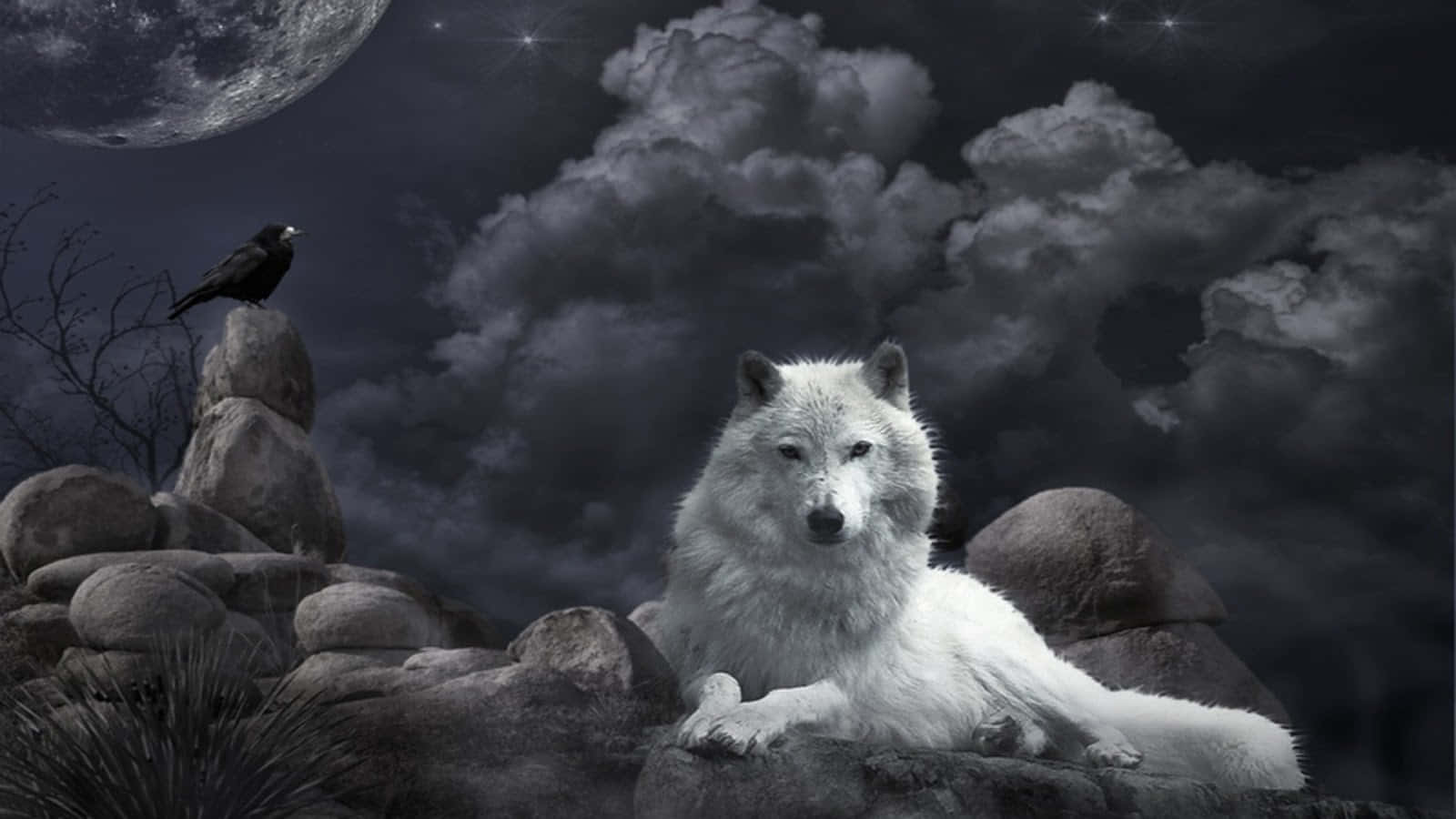 Beautiful Wolf 桌布 壁紙 — 一隻雄偉的白狼在滿月下的岩石地形上休息，附近有一隻烏鴉棲息在繁星點點的天空下。