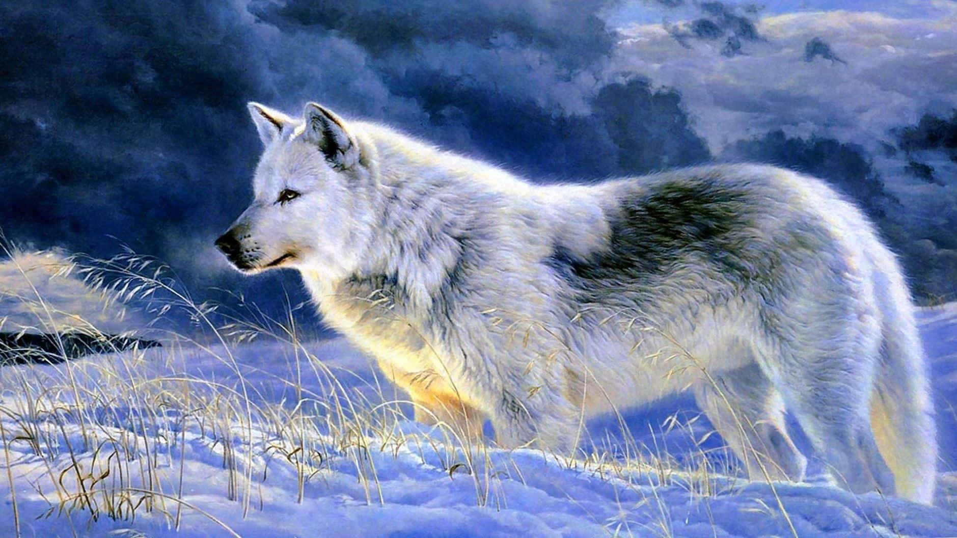 Gray Wolf 桌布 壁紙 — 一隻雄偉的白狼在雪地上警覺地站立，背景是陰沉暮色天空和烏雲。