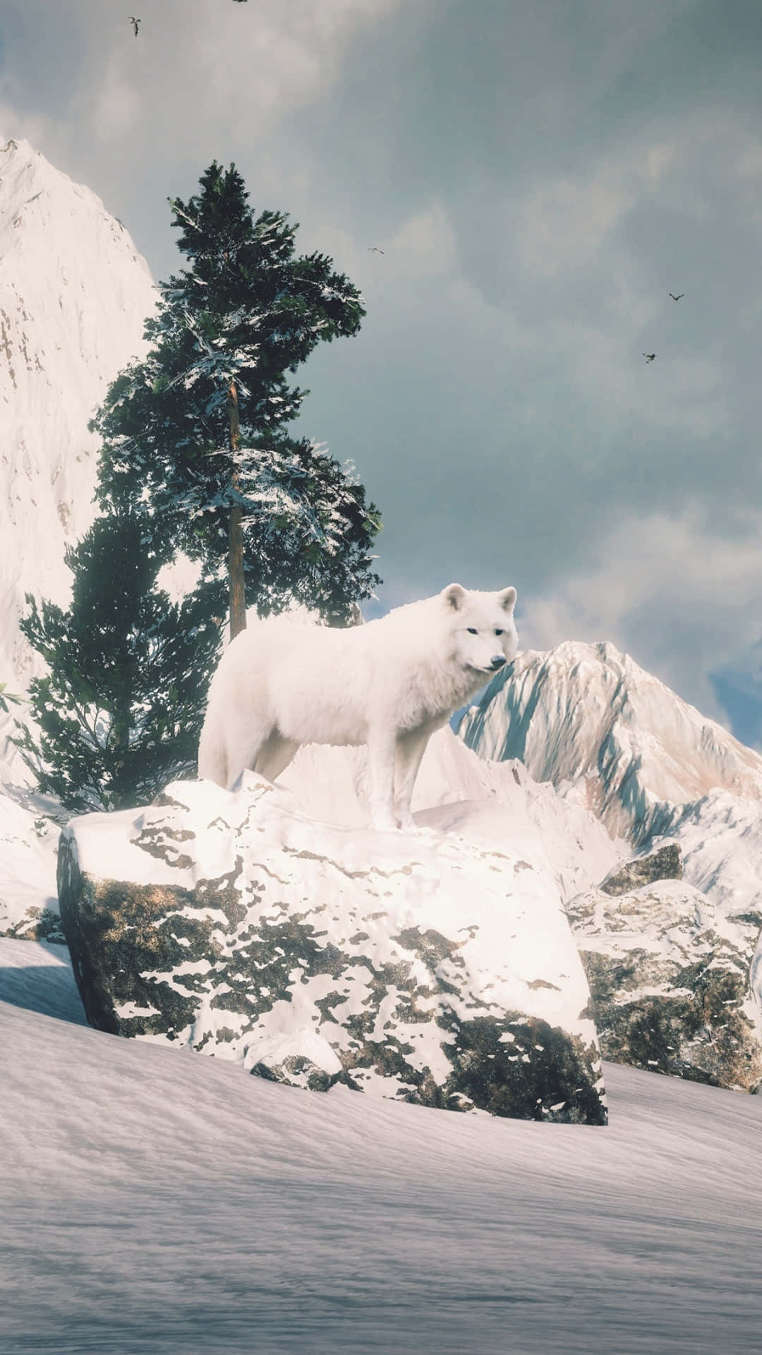 Arctic Wolf 桌布 壁紙 — 一隻雄偉的白狼站在白雪覆蓋的岩石上，在嚴峻的高山景觀中，有常青樹和遠處的山峰，天空多雲。
