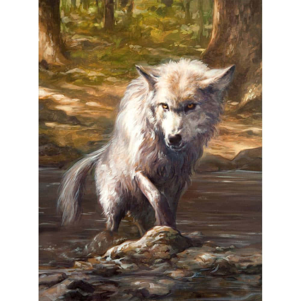 Wolf Art 桌布 壁紙 — 一隻雄偉的白狼警覺地站在淺溪中，四周環繞著陽光普照的森林樹木。