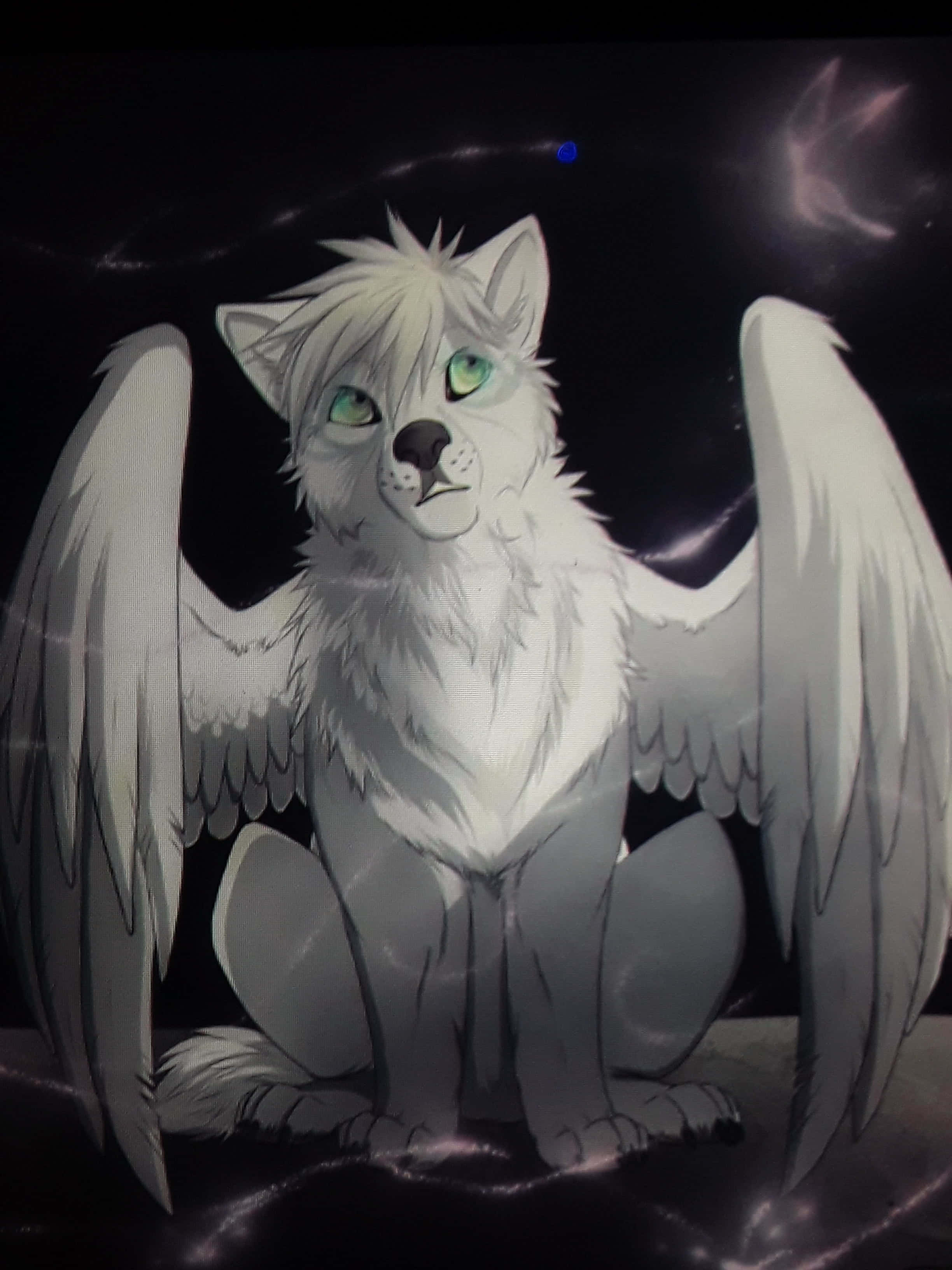 Winged Wolf 桌布 壁紙 — 一隻雄偉的白翼狼，擁有發光的綠色眼睛，在佈滿星光和星雲的宇宙夜空背景下擺出姿勢坐著。