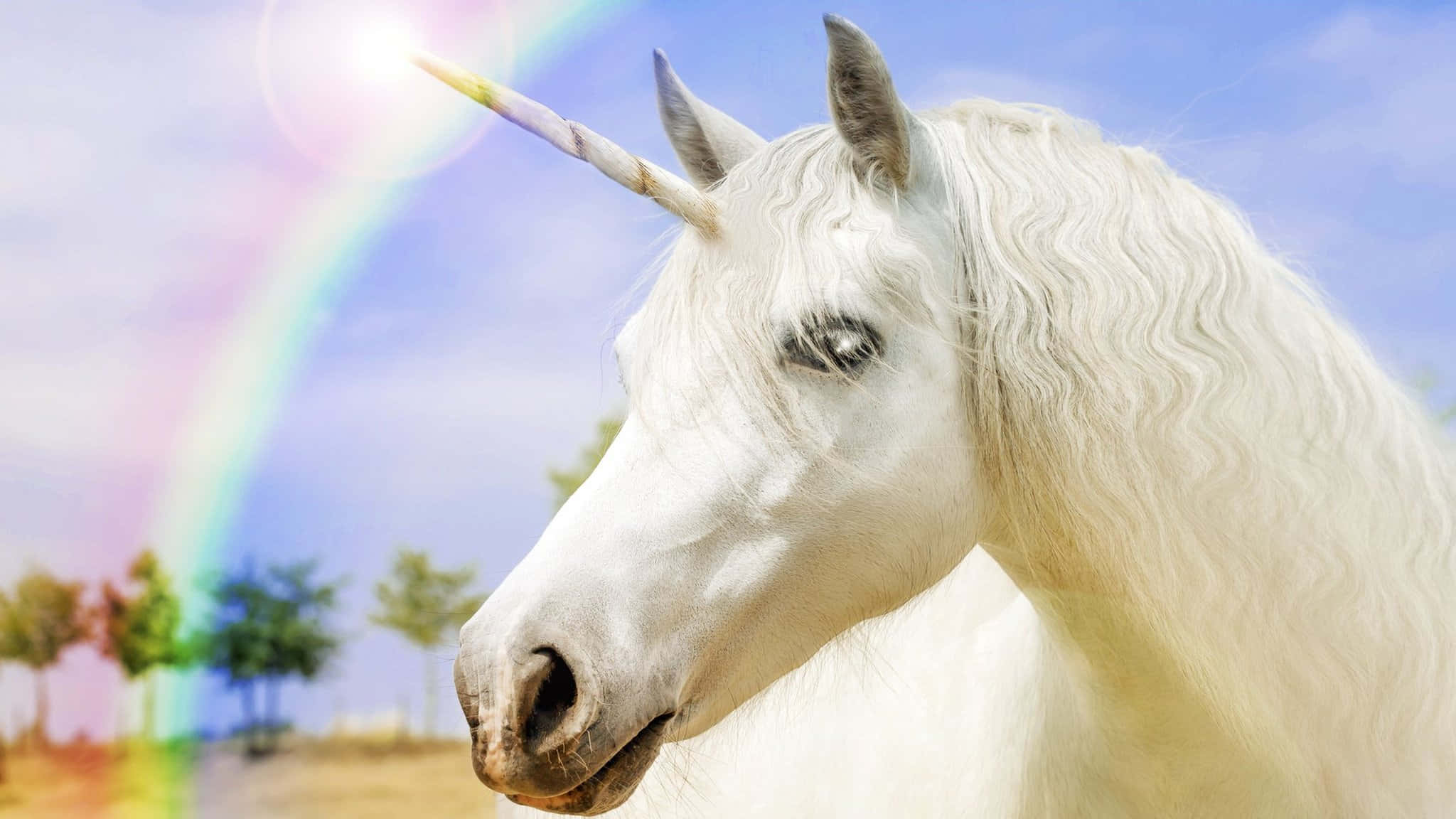 Real Unicorn 桌布 壁紙 — 一隻雄偉的白色獨角獸，擁有彩虹色的角，側身站在明亮的藍天下，背後有一道鮮豔的彩虹拱起。