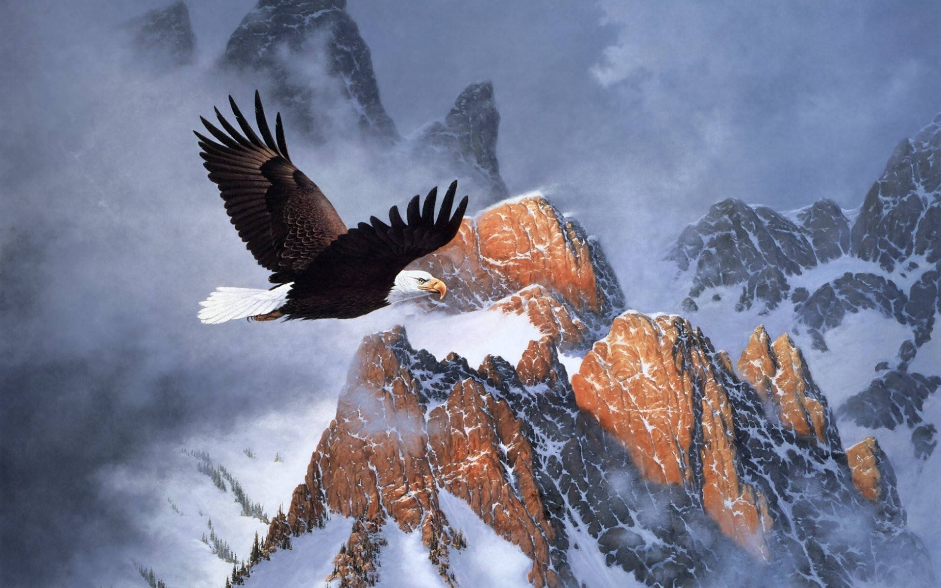 Eagle 桌布 壁紙 — 一隻雄偉的白頭海鵰展開翅膀，在沐浴著金色晨光的積雪山脈上空翱翔。