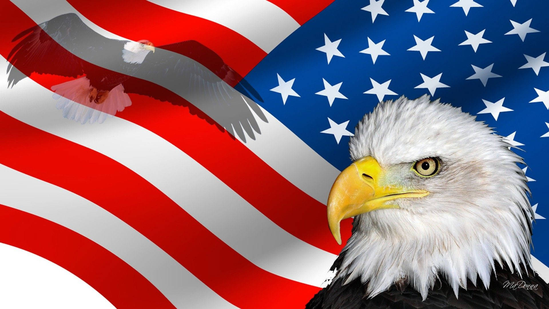 Eagle 桌布 壁紙 — 一隻雄偉的白頭鷹，白色頭部和黃色喙，在飄揚的美國國旗背景下向前凝視。