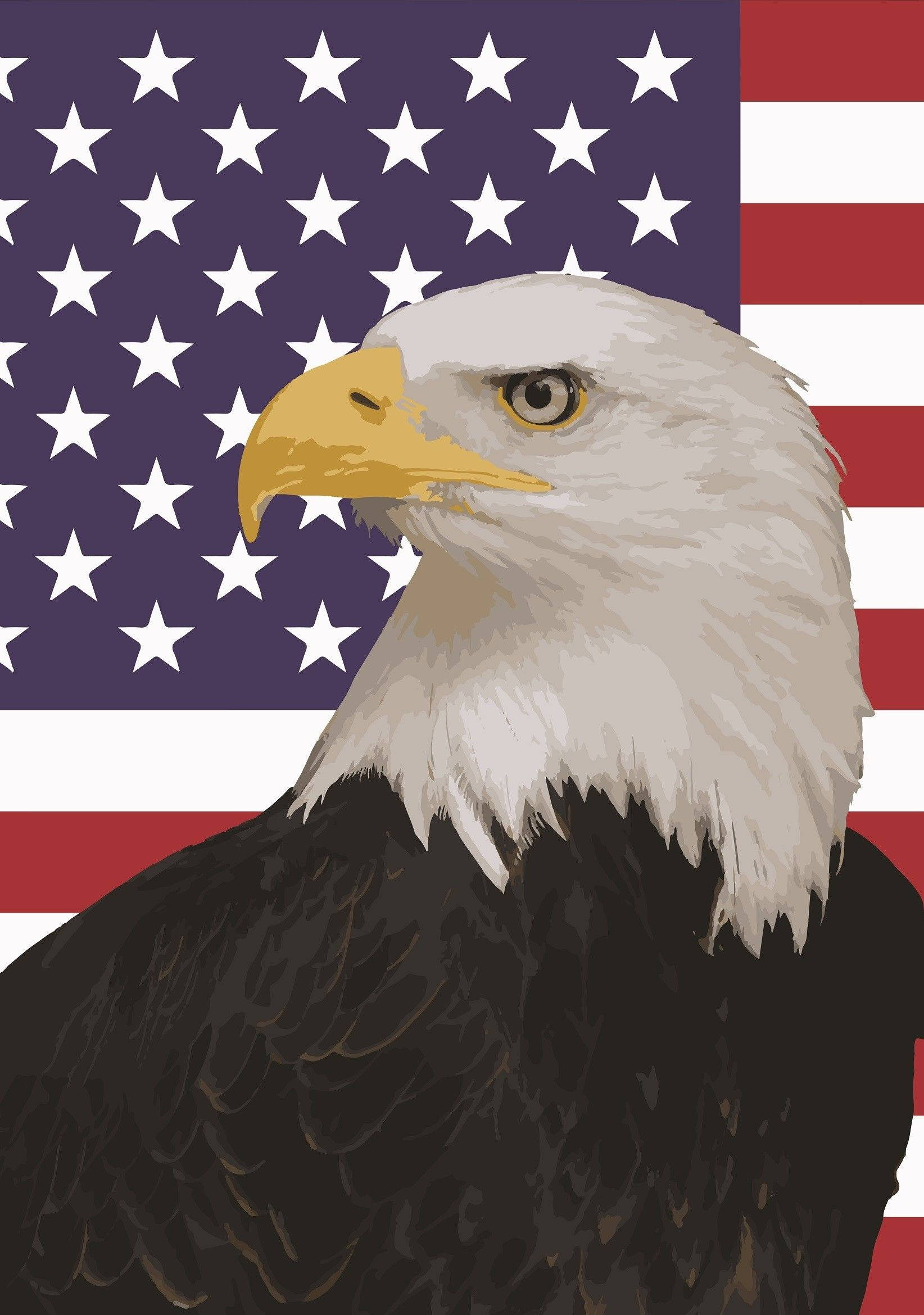 Eagle 桌布 壁紙 — 一隻雄偉的白頭鷹，白色頭部和黃色喙，在鮮明的美國國旗背景下向前凝視。