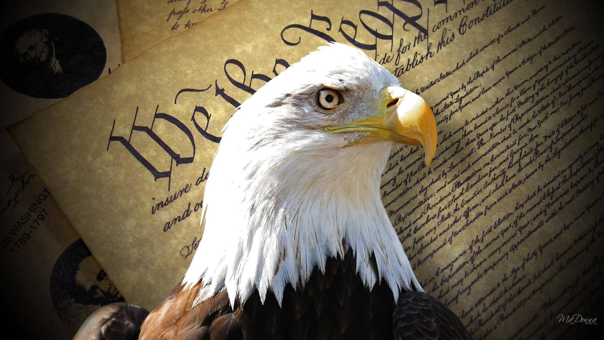 Patriotic 桌布 壁紙 — 一隻雄偉的白頭鷹，目光銳利，頭部羽毛潔白，棲息在陳舊的羊皮紙上，上面顯示美國憲法中的「We the People」。