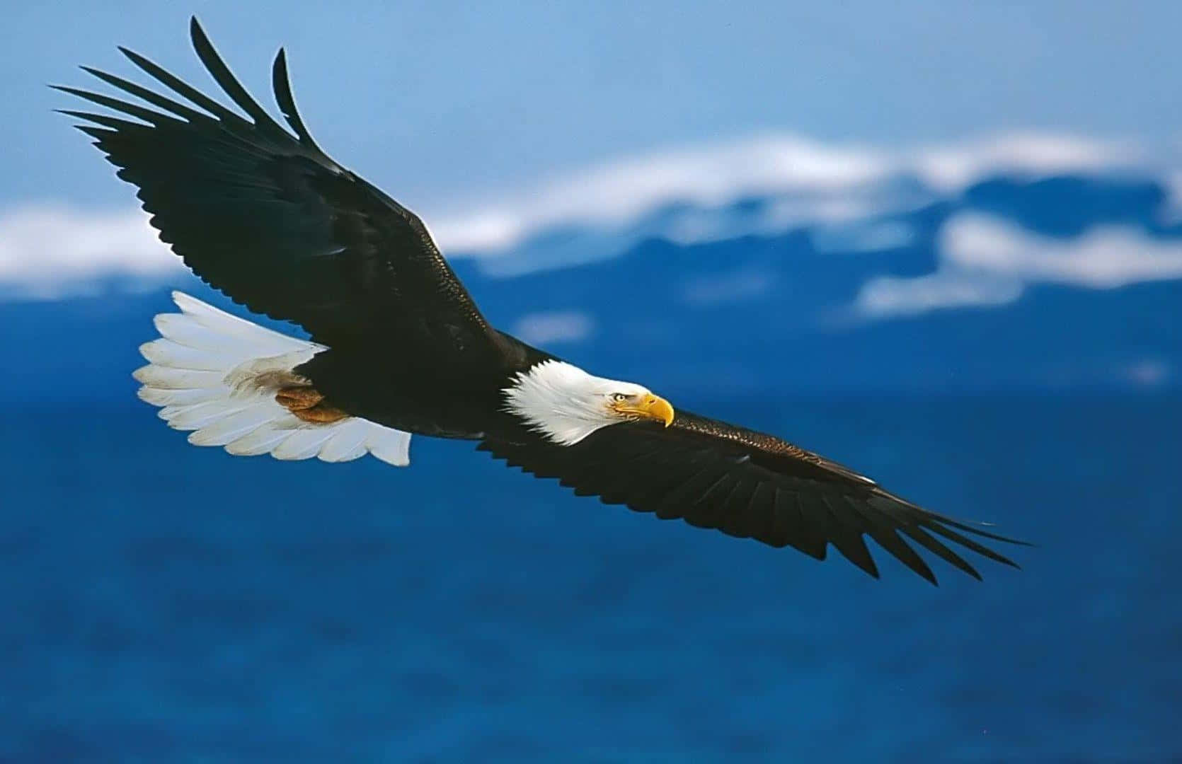Eagle 桌布 壁紙 — 一隻雄偉的白頭鷹展開翅膀，在藍色海洋和遠處山脈的背景中翱翔。