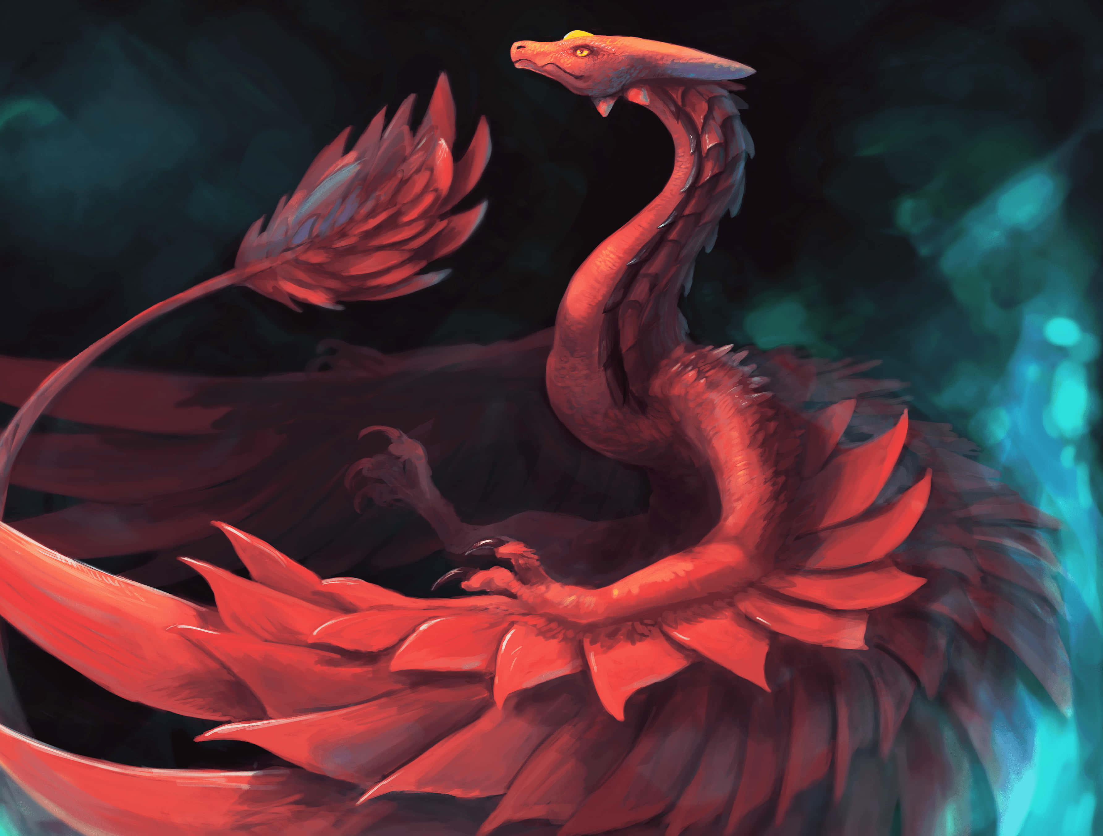 Mythical Dragon 桌布 壁紙 — 一隻雄偉的紅色龍，擁有羽毛翅膀和發光的眼睛，蜷縮在深藍綠色和黑色的神秘背景前。