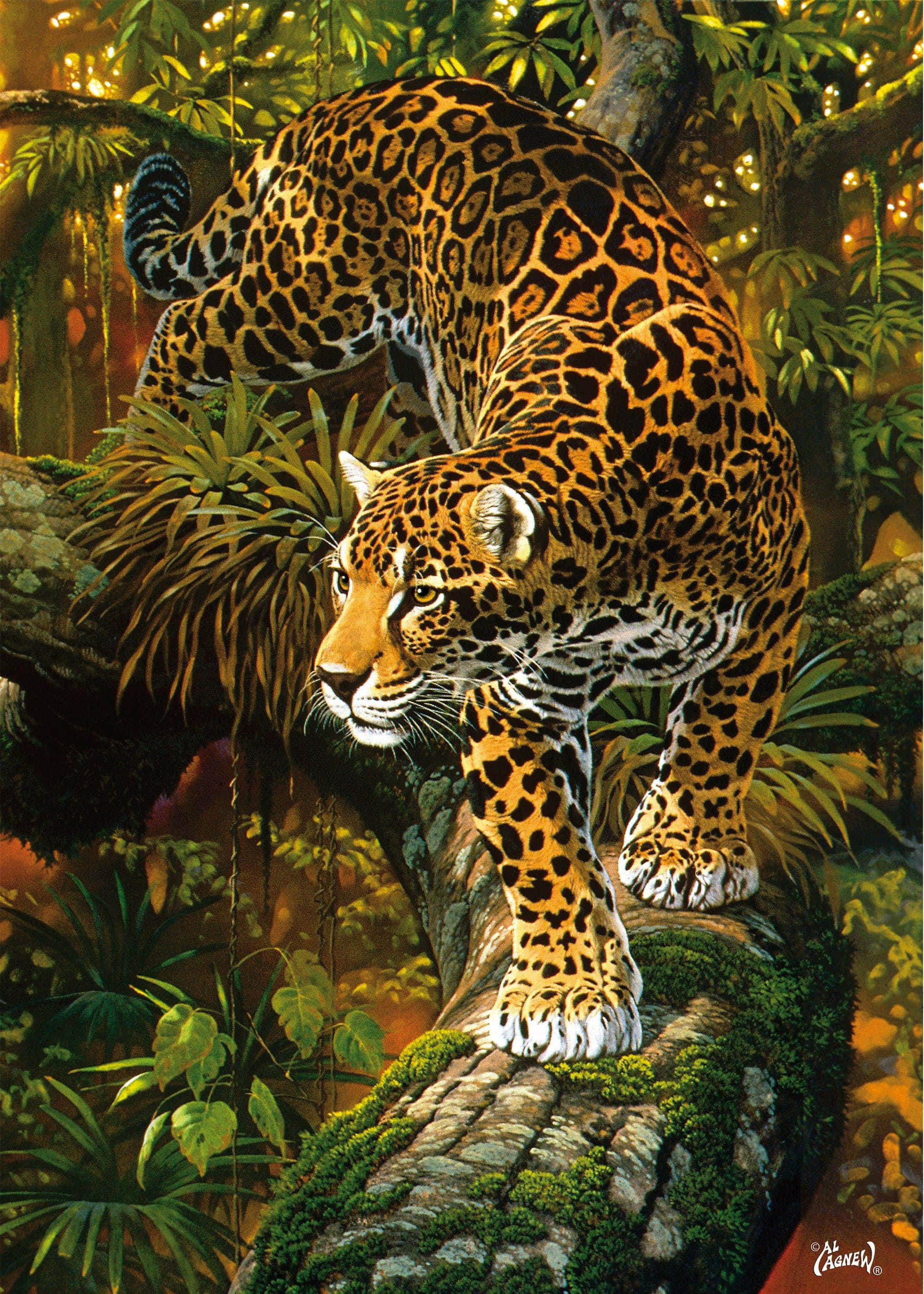 Jaguar 桌布 壁紙 — 一隻雄偉的美洲豹，金色皮毛上有黑色玫瑰斑，警覺地蹲伏在長滿苔蘚的樹枝上，身處沐浴在斑駁陽光下的茂密叢林中。