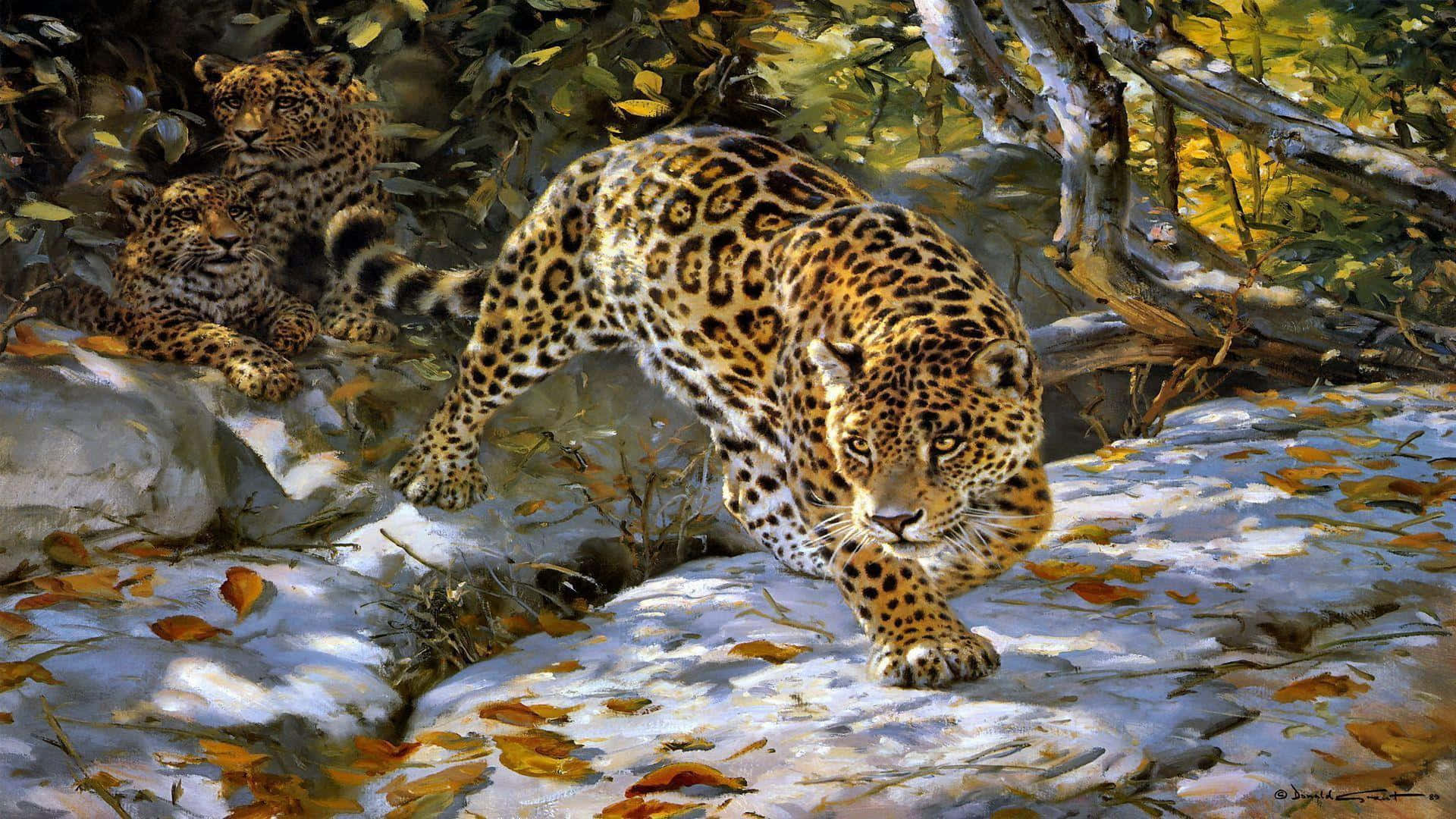 Jaguar 桌布 壁紙 — 一隻雄偉的美洲豹在白雪覆蓋的森林灌木叢中大步前行，兩隻幼崽在附近陽光普照的岩石上休息。