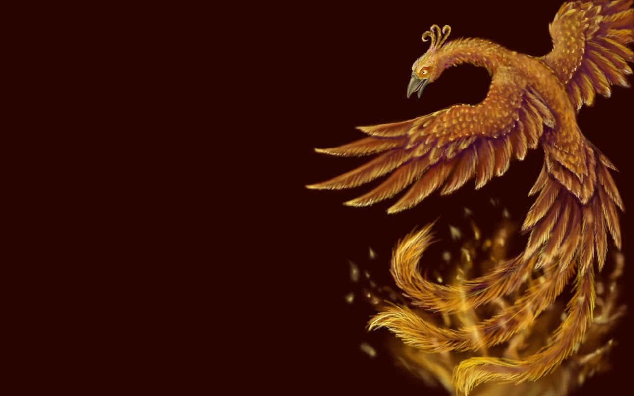 一隻金色鳳凰，尾羽如火，在黑暗背景上翱翔。 — 鳳凰 GIF 壁紙