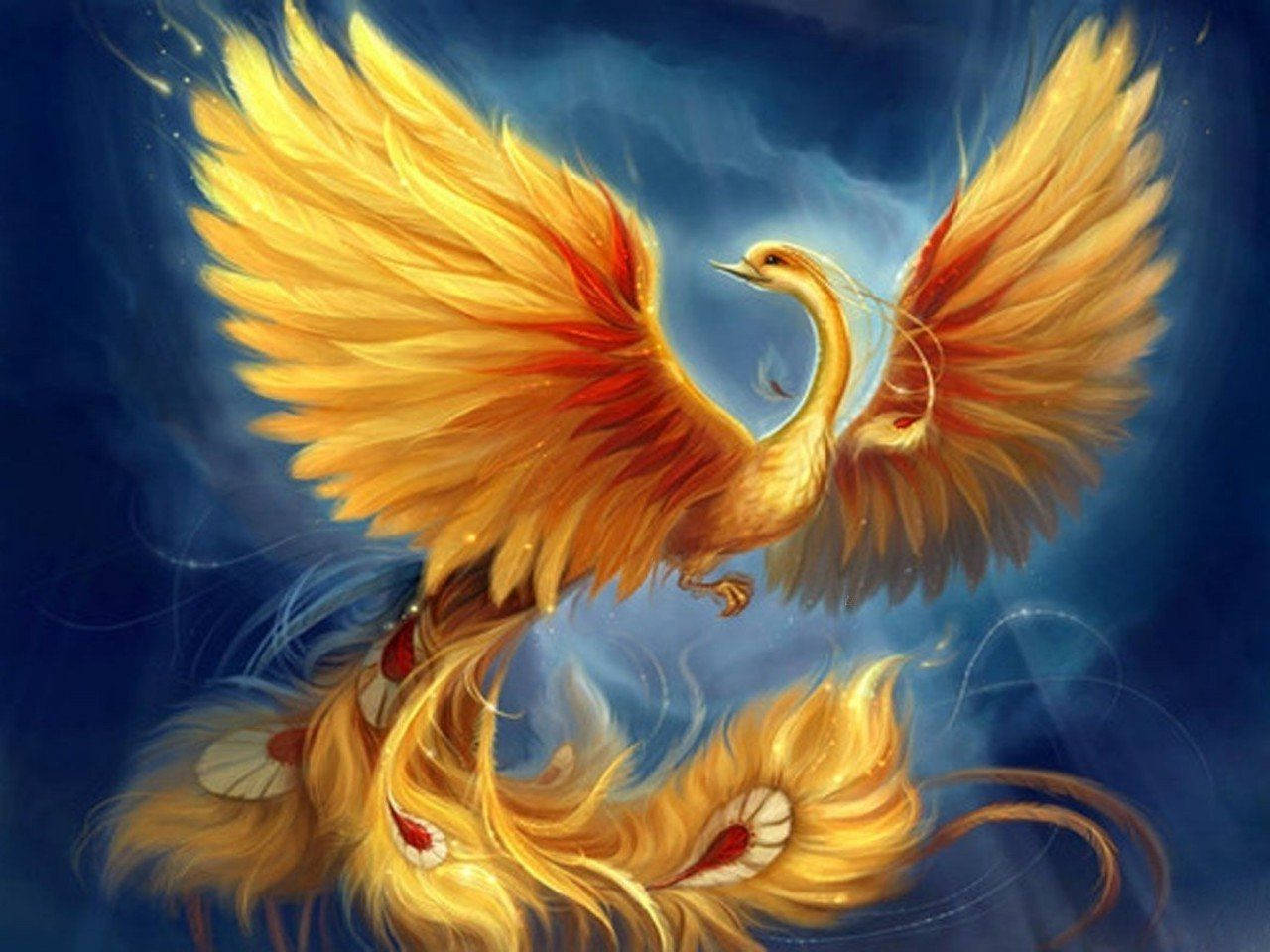 鳳凰 桌布 壁紙 — 一隻雄偉的金色鳳凰，翅膀燃燒著火焰，在深藍色的神秘天空中翱翔，散發著神聖的光芒和能量。