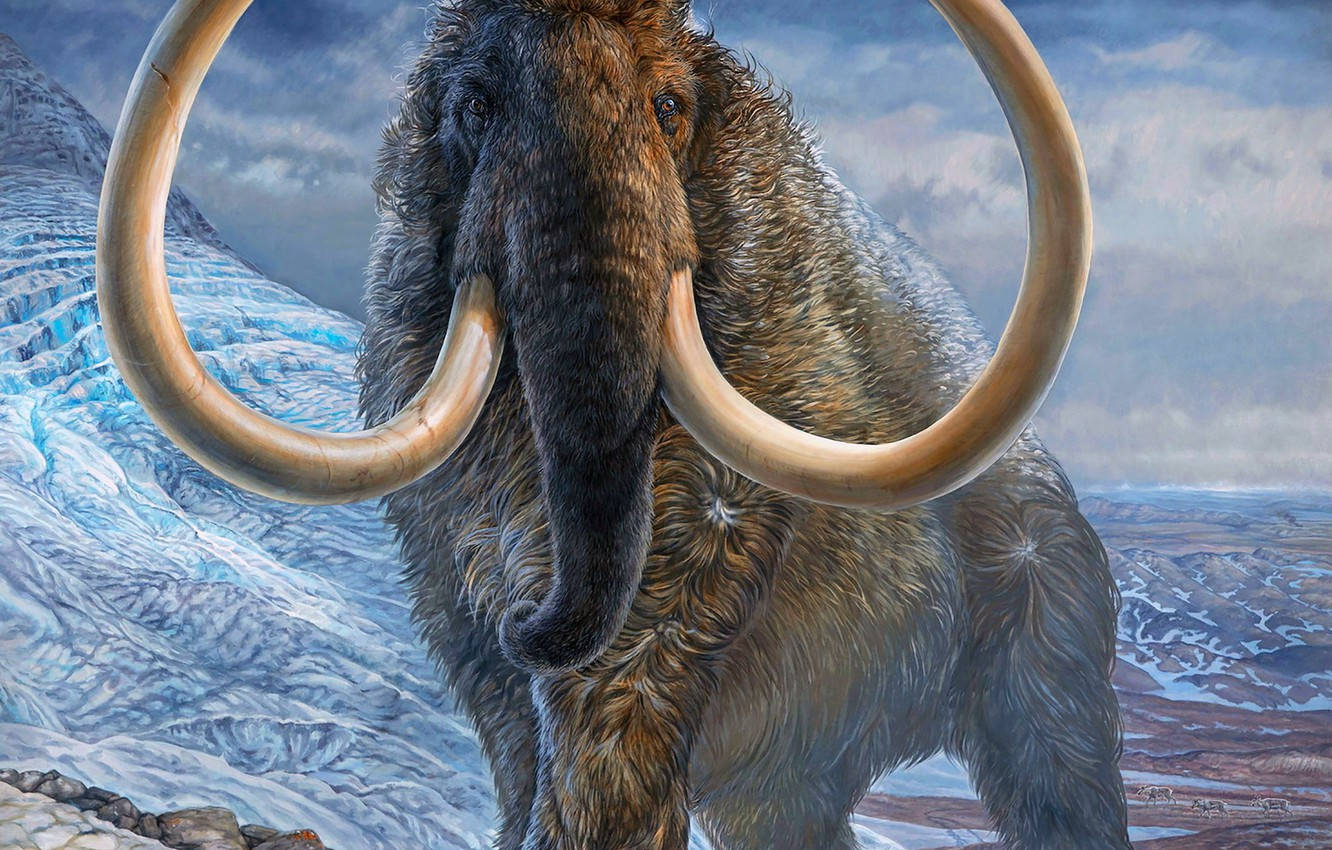 Tusk 桌布 壁紙 — 一隻雄偉的長毛猛獁象，擁有巨大的彎曲象牙，站在多雲天空下白雪皚皚的山地景觀中。