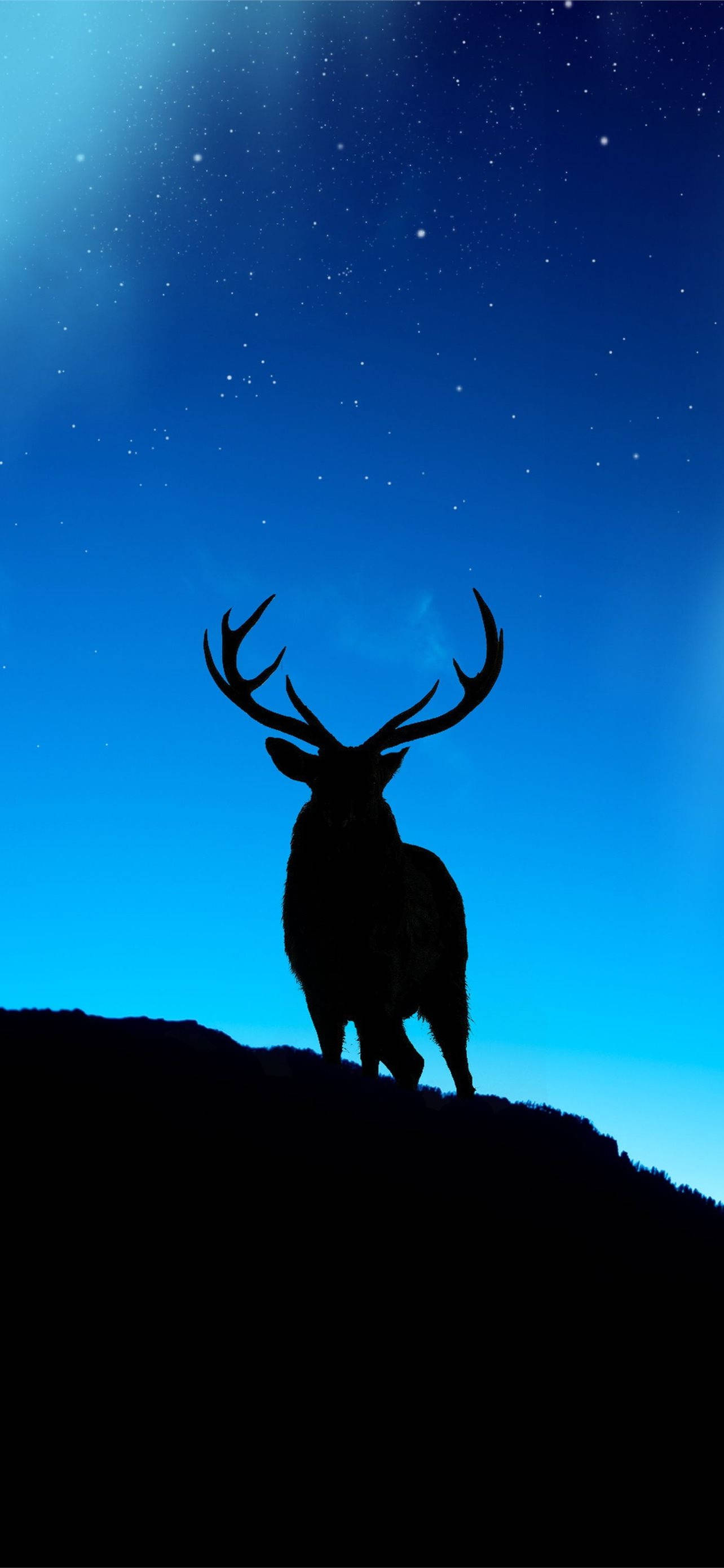 Deer iPhone 桌布 壁紙 — 一隻雄偉的雄鹿剪影站在山丘上，背景是閃爍著深藍色色調的星空暮色天空。