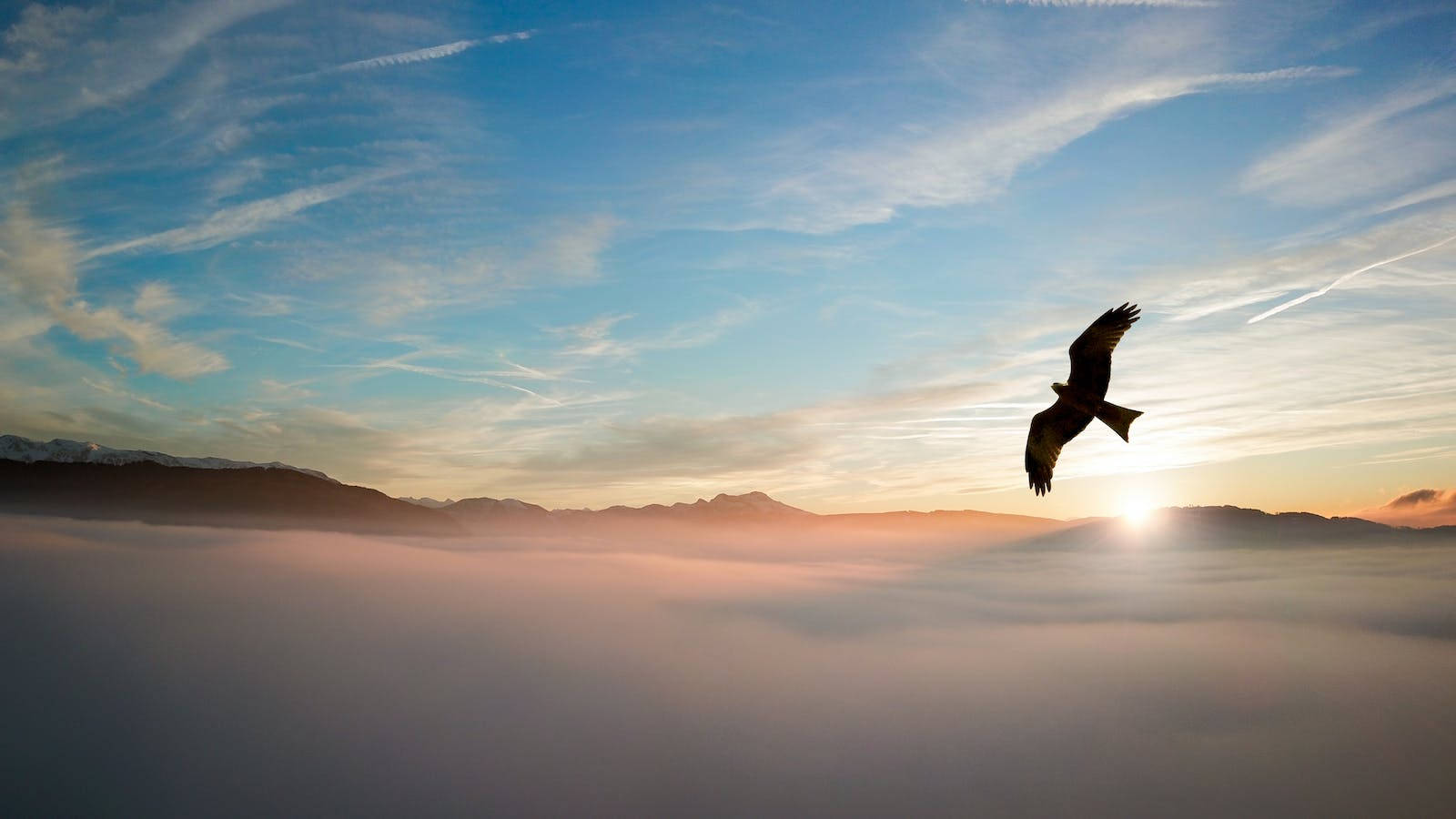 Eagle 桌布 壁紙 — 一隻雄偉的鳥在日出時翱翔於雲海之上，下方是山巒的剪影。