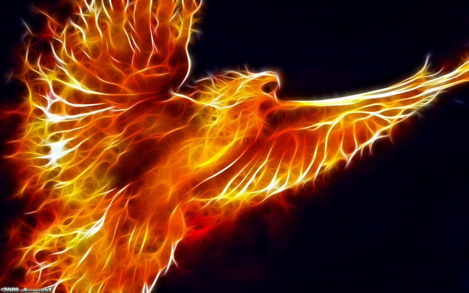3d Fire 桌布 壁紙 — 一隻雄偉的鳳凰在鮮豔的橙色和黃色火焰中迸發，背景是純黑色。