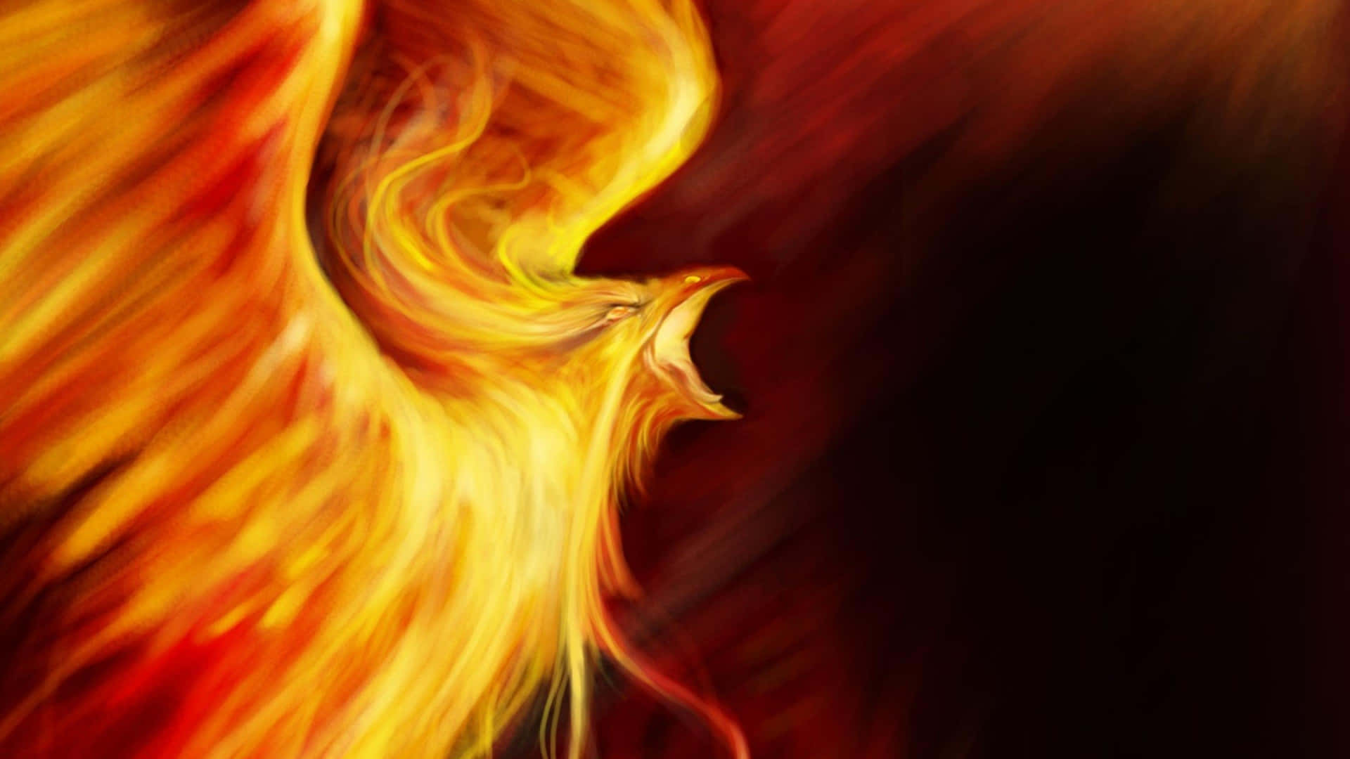 一隻張開翅膀的火焰鳳凰在黑暗背景下咆哮。 — 鳳凰 GIF 壁紙