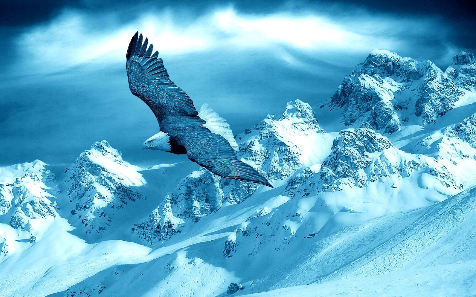 Eagle 桌布 壁紙 — 一隻雄偉的鷹在戲劇性的藍天下優雅地翱翔於白雪覆蓋的山脈之上。