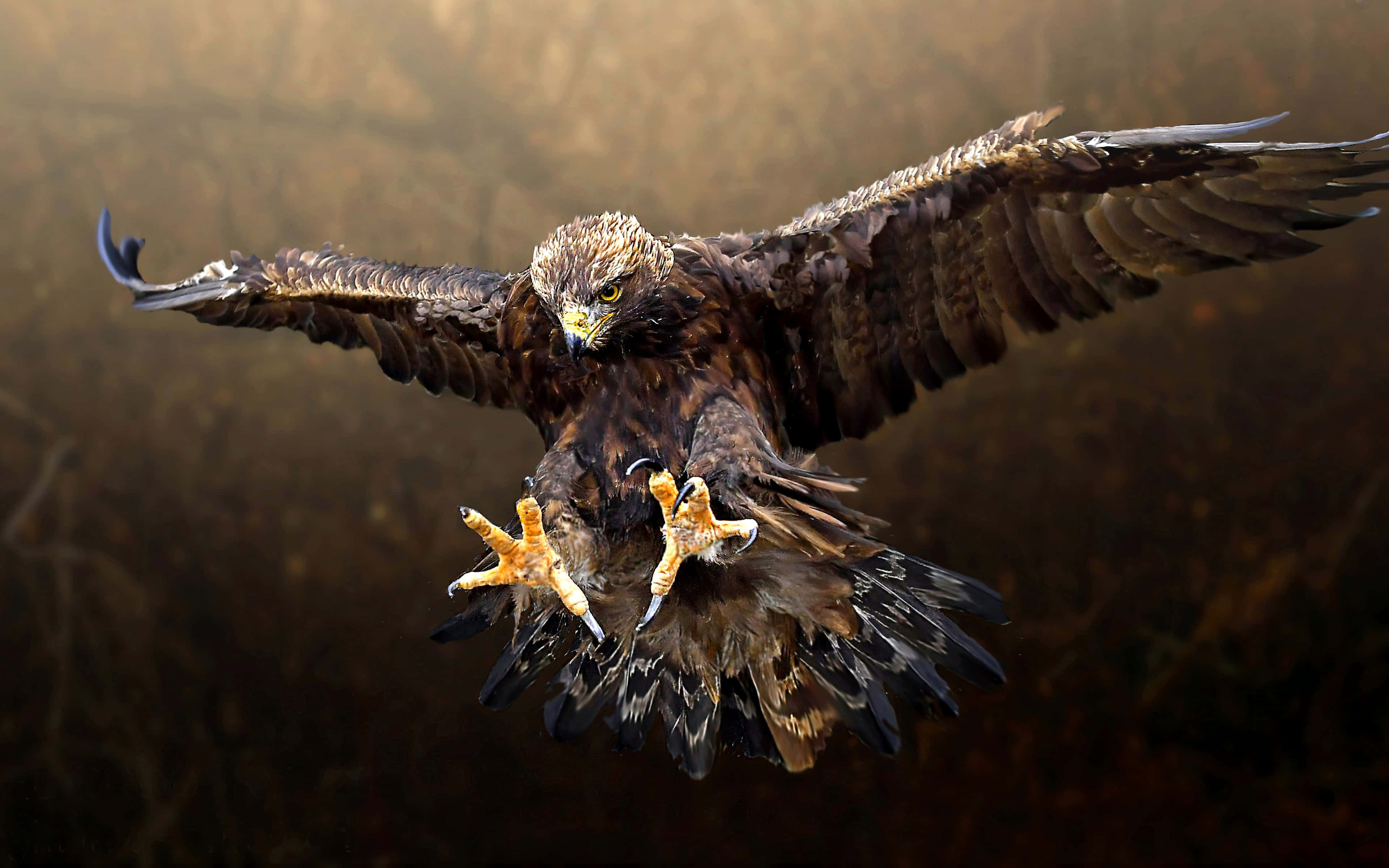 Eagle 桌布 壁紙 — 一隻雄偉的鷹展翅翱翔，爪子伸出，背景是朦朧的金色。