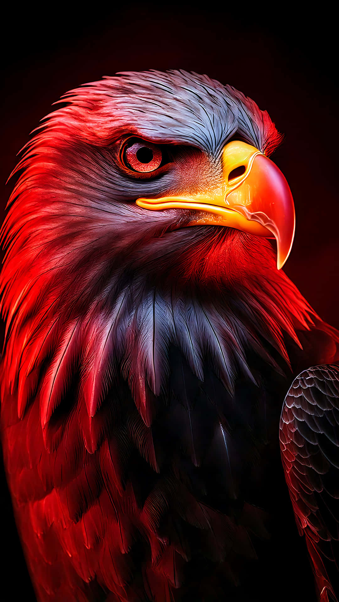 Red Eagle 壁紙 — 一隻雄偉的鷹的特寫，擁有火紅和深色的羽毛、銳利的眼神和尖銳的黃色喙，背景為黑色。