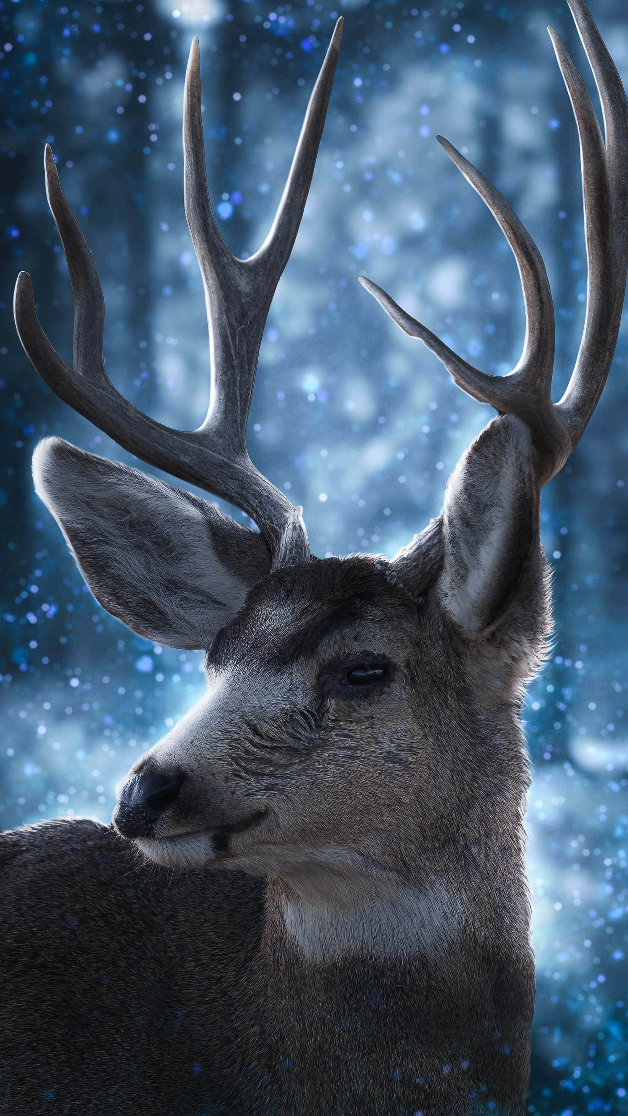 Deer Desktop 桌布 壁紙 — 一隻雄偉的鹿，長著巨大的鹿角，在閃爍的藍色星空夜晚森林背景下平靜地凝視。