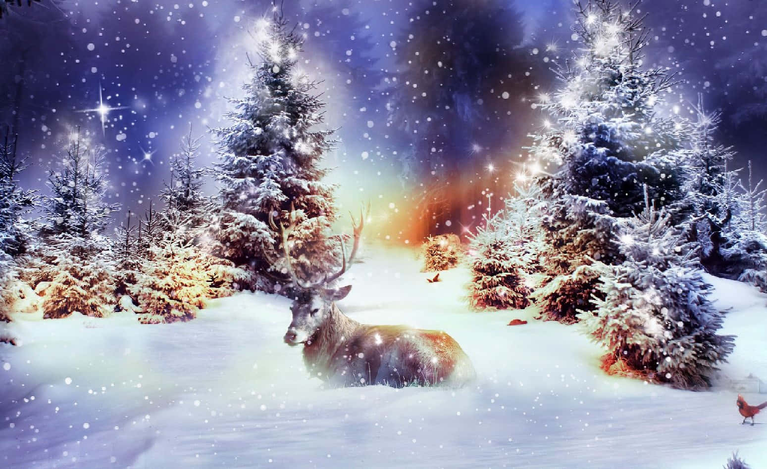 冬季聖誕 桌布 壁紙 — 一隻雄偉的鹿在雪地森林中休息，天空星光閃爍，暮色中帶有發光的極光和飄落的雪花。