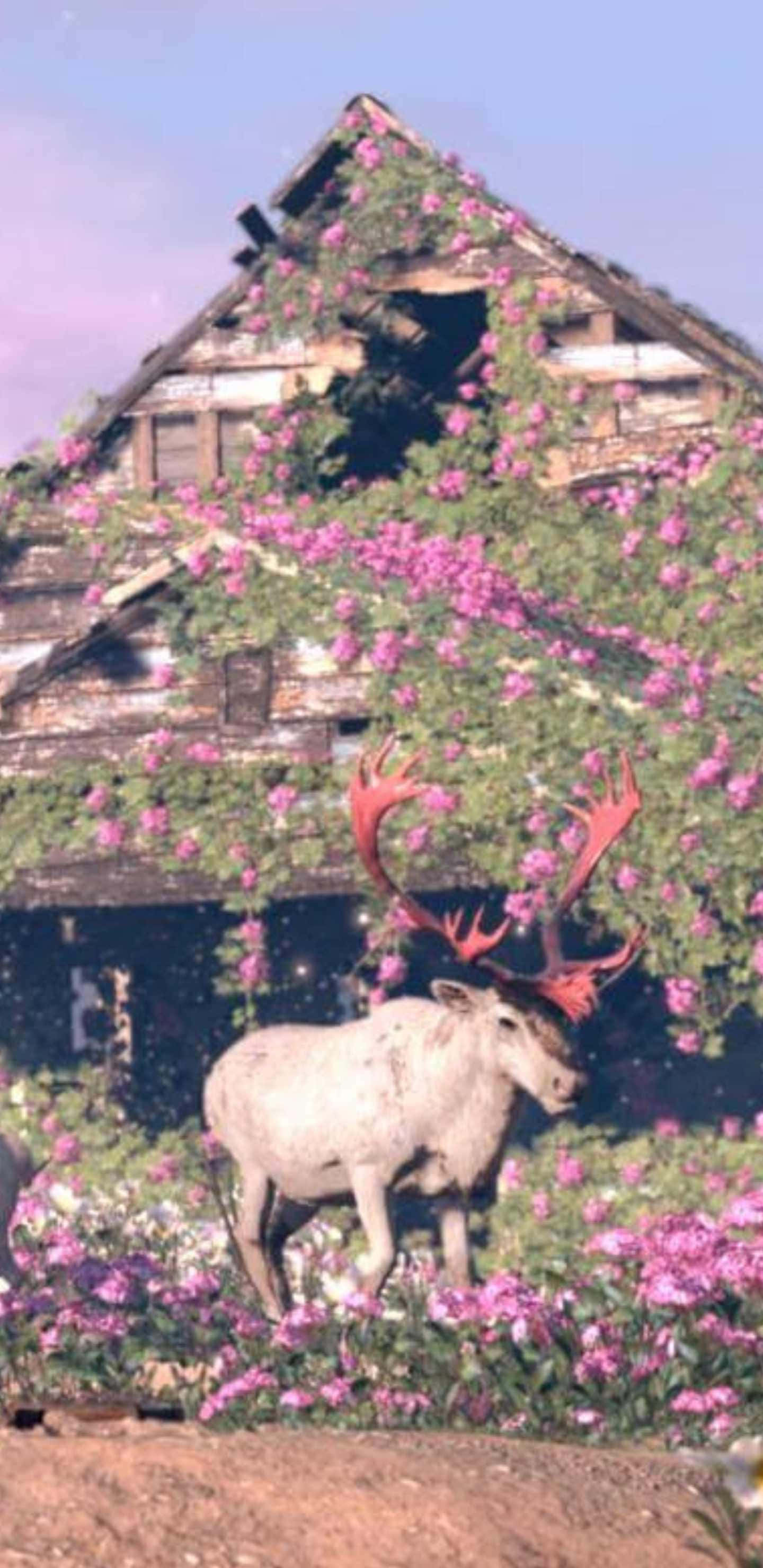 Android Far Cry New Dawn 桌布 壁紙 — 一隻雄偉的麋鹿，擁有鮮豔的紅色鹿角，佇立在粉紅色花田之中，前方是一座佈滿花朵、歷經風霜的木屋。