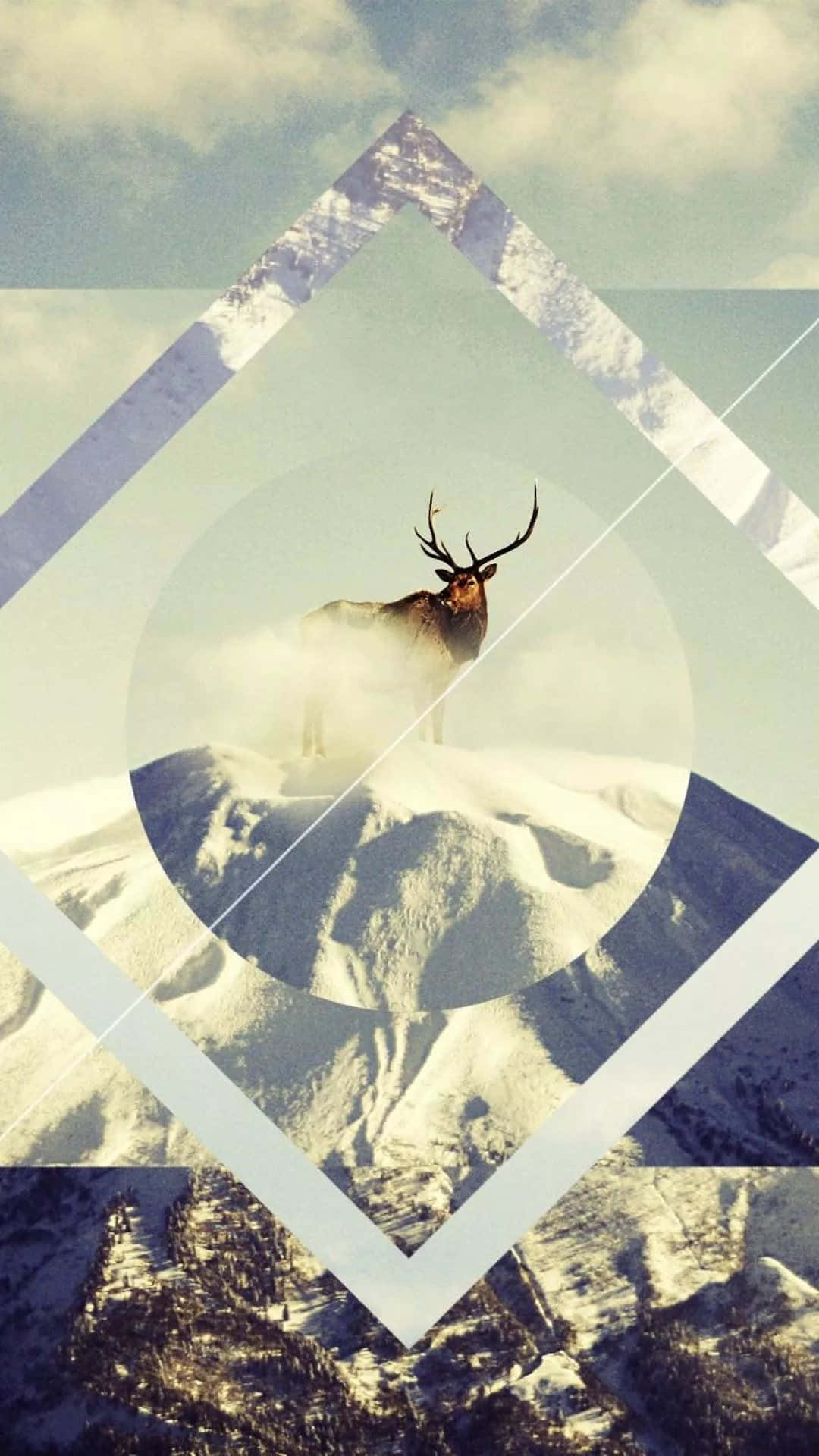 桌布 壁紙 — 一隻雄偉的麋鹿站在白雪覆蓋的山頂上，以幾何形狀框住，背景是陰天。