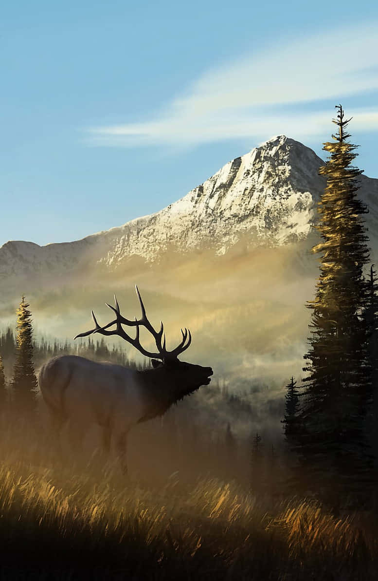 Elk 桌布 壁紙 — 一隻雄偉的麋鹿站在金色的草地上，背景是日出時分霧氣繚繞的山脈，松樹框住了整個場景。