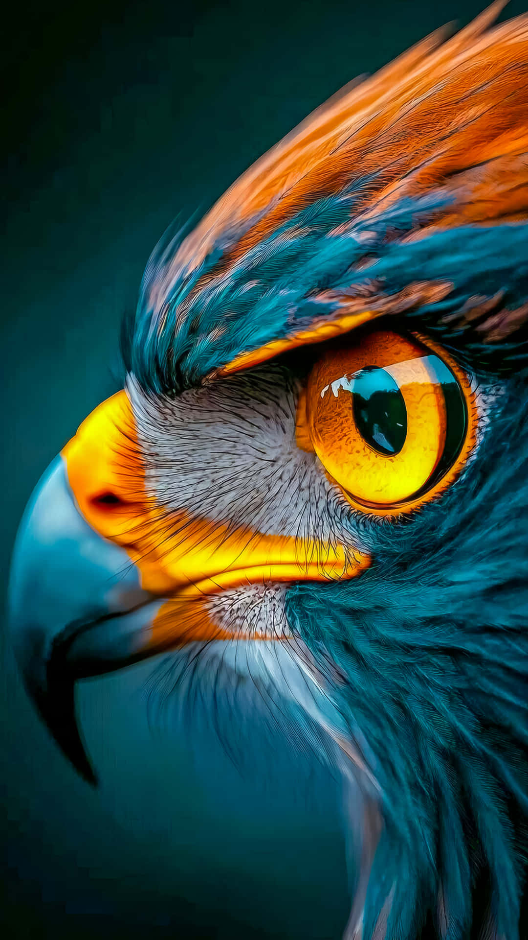 Majestic Eagle Eye Close-up 壁紙 — 一隻雄偉鷹頭的近距離特寫，擁有銳利的黃色眼睛和鮮豔的藍色與橙色羽毛，背景為深藍綠色。
