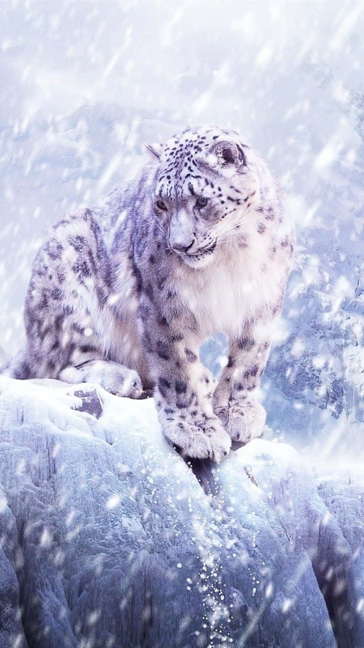 桌布 壁紙 — 一隻雪豹警覺地棲息在雪崖上，雪花在其斑點皮毛周圍旋轉，構成冬日山景。
