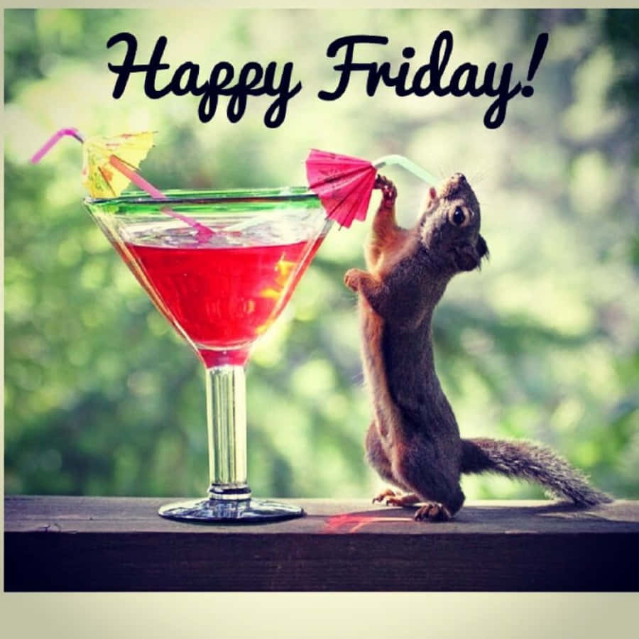 Friday Funny 桌布 壁紙 — 一隻頑皮的松鼠用後腿站立，拿著馬丁尼杯中紅色雞尾酒上的粉紅色傘形吸管。