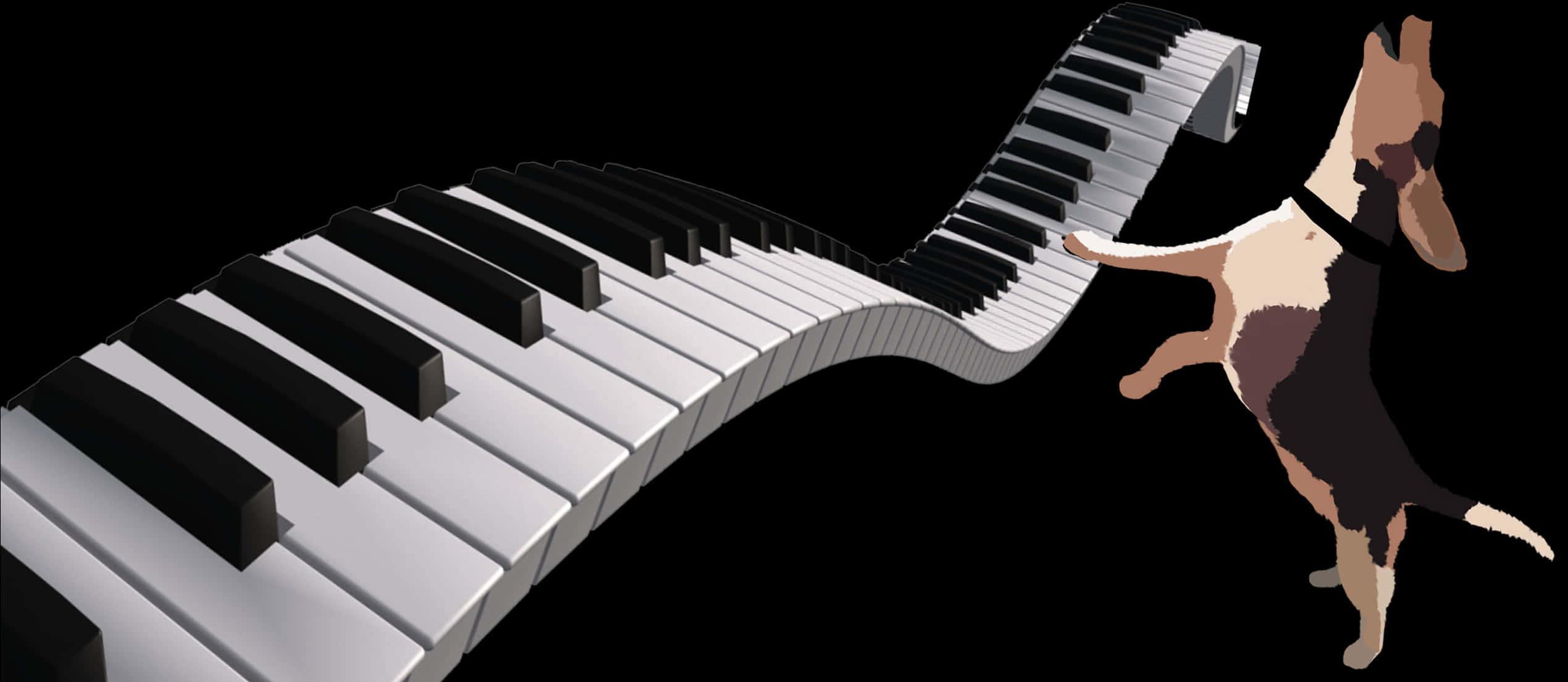 Musical Instrument 桌布 壁紙 — 一隻頑皮的狗跳向彎曲的鋼琴鍵盤，背景是純黑色。