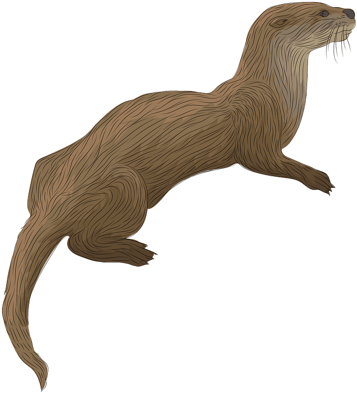 Otter 桌布 壁紙 — 一隻風格化的棕色水獺在黑色背景上跳躍，帶有鬍鬚和流動的毛髮線條。