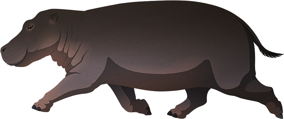 hippo 桌布 壁紙 — 一隻風格化的河馬在純黑色背景上以側面輪廓行走，帶有柔和陰影。