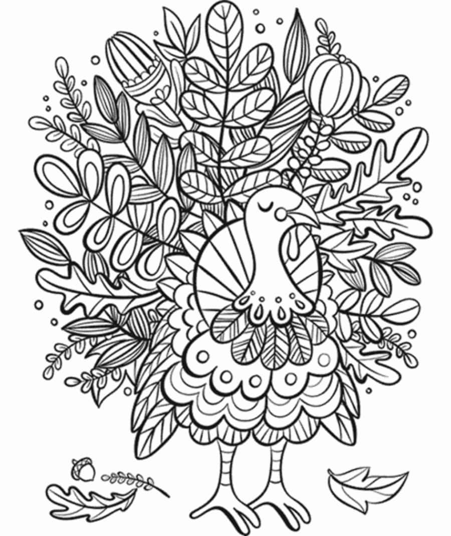 Turkey Coloring 桌布 壁紙 — 一隻風格化的火雞被秋葉和橡子包圍的詳細黑白線條畫。